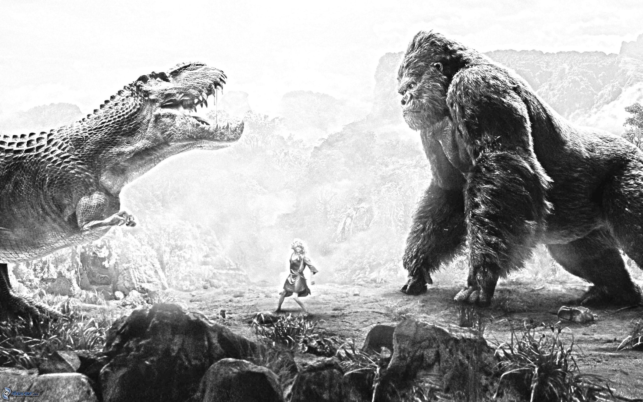 Black And White Image Of Dinosaurs 7 Cool HD Wallpaper