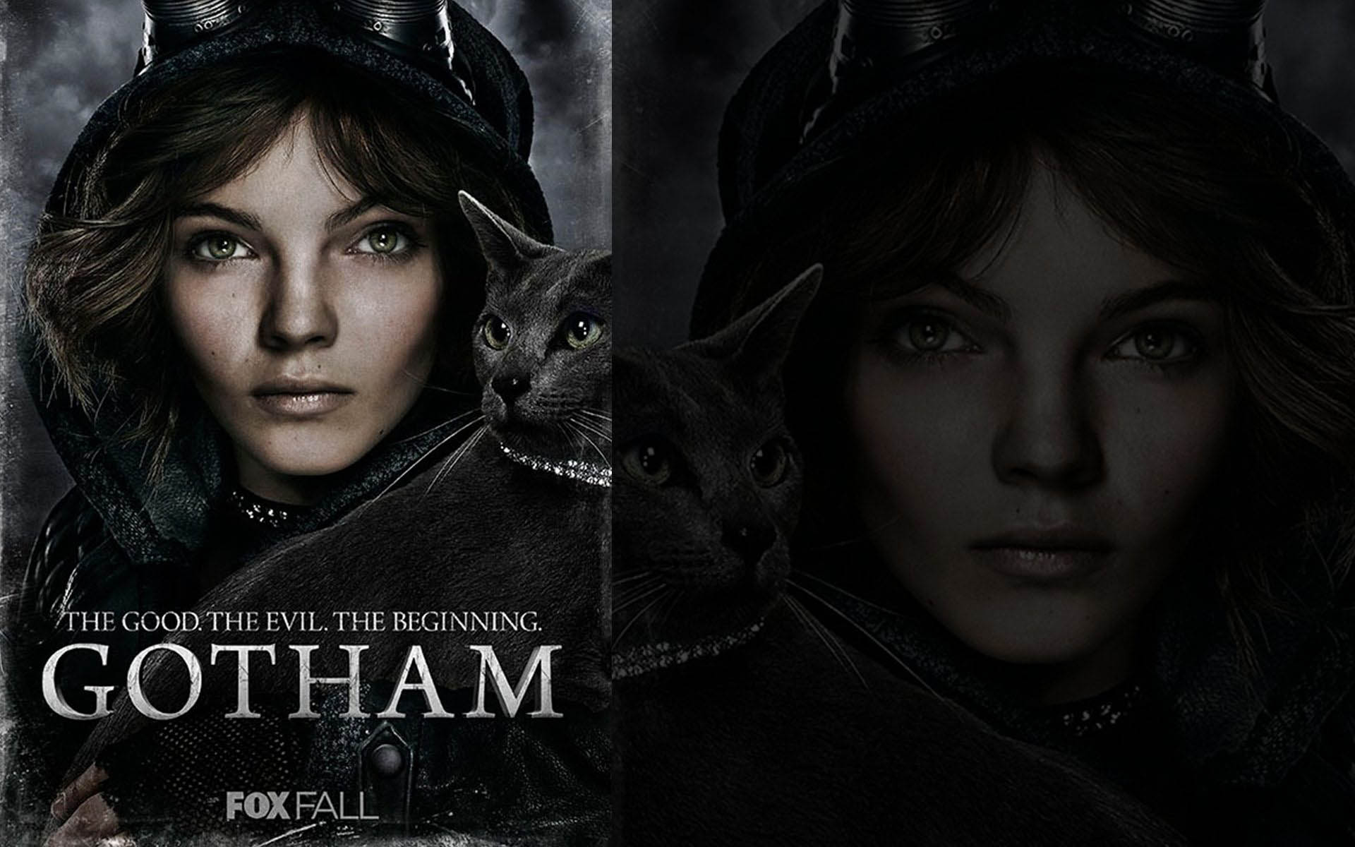 Gotham TV Series wallpaper HD free Download