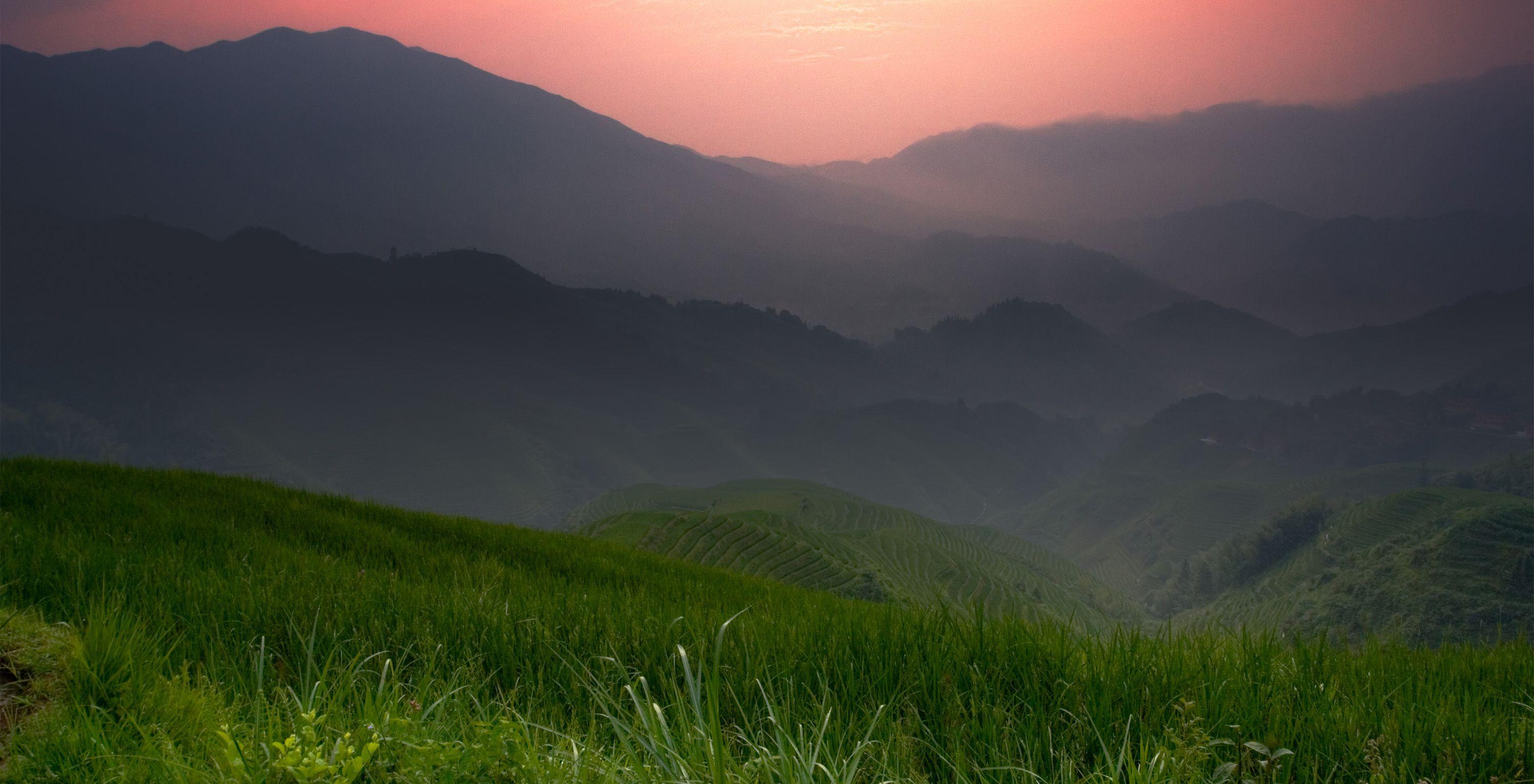 Download the default ChromeOS wallpaper and view the default