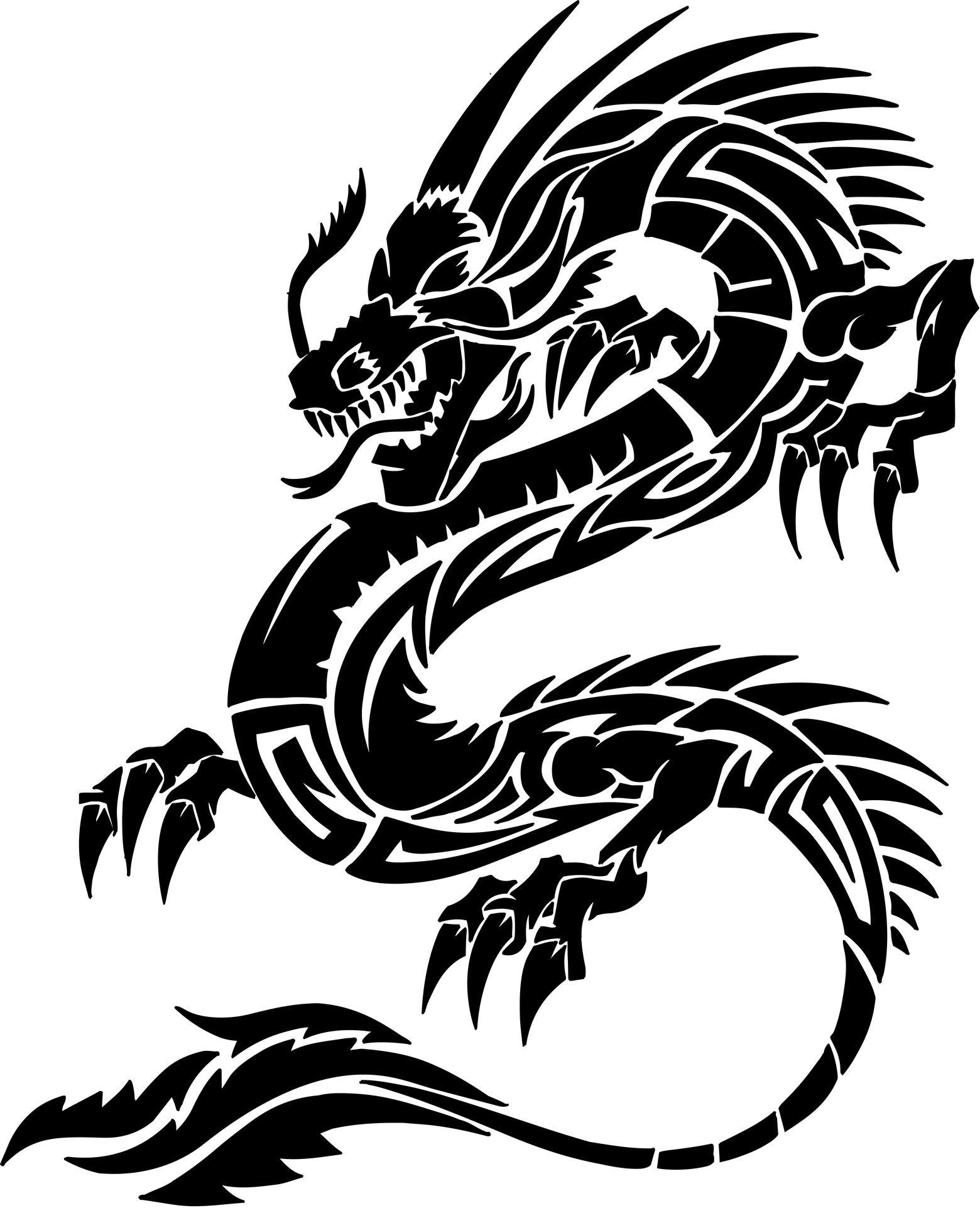 1560x1922px 569.07 KB Dragon Tattoo