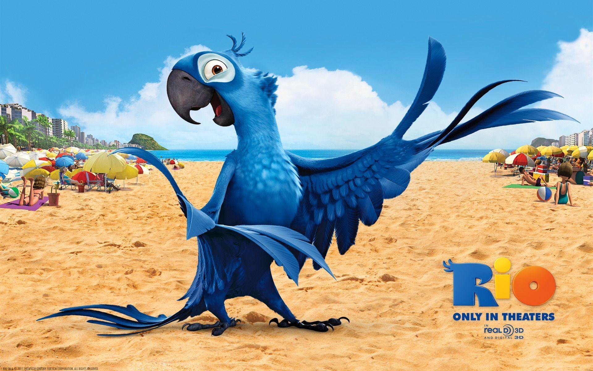 Rio 2 Movie Blue Bird Wallpaper HD For Desktop. Movies TV Shows