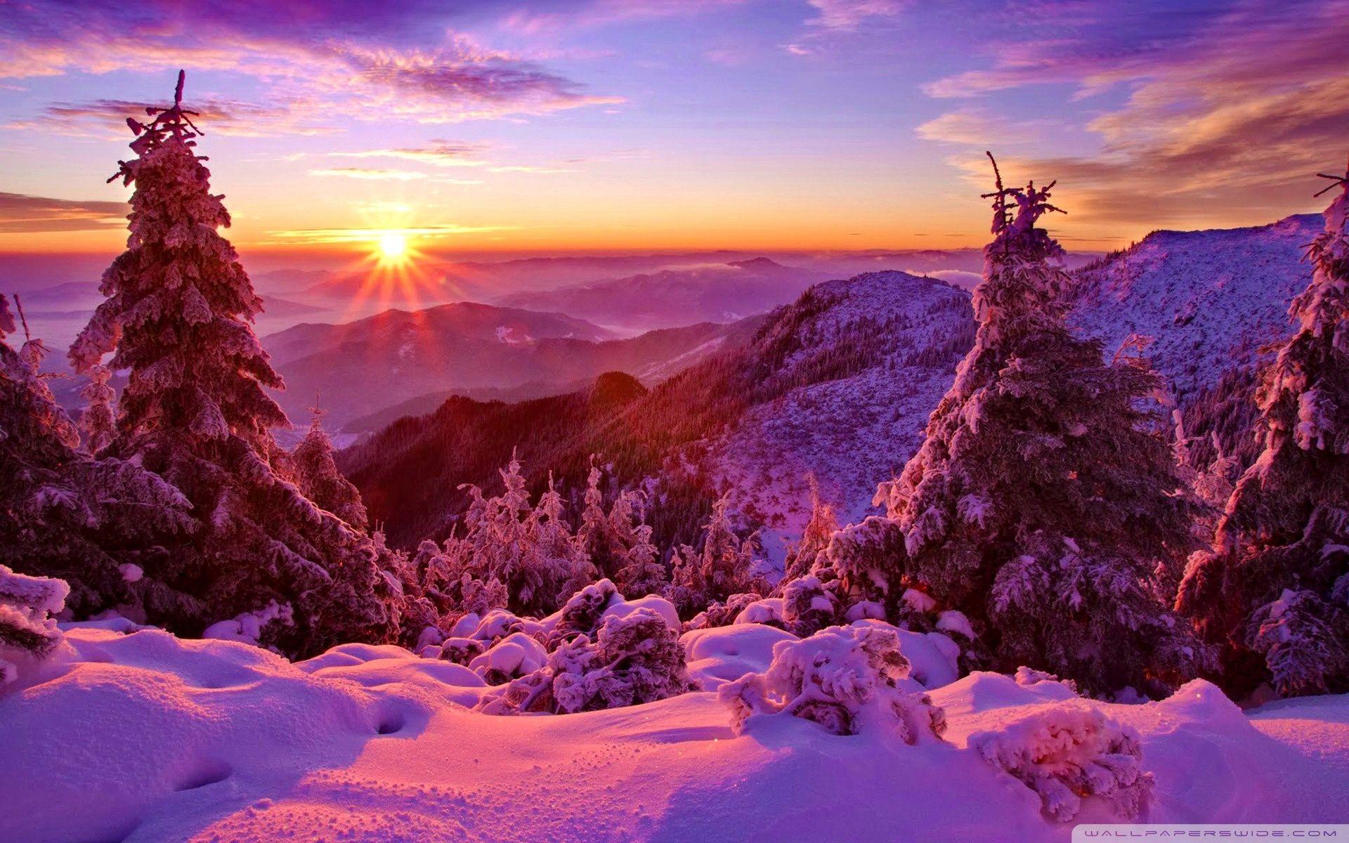 Spruces On Mountain Sunset ❤ 4K HD Desktop Wallpaper for 4K Ultra