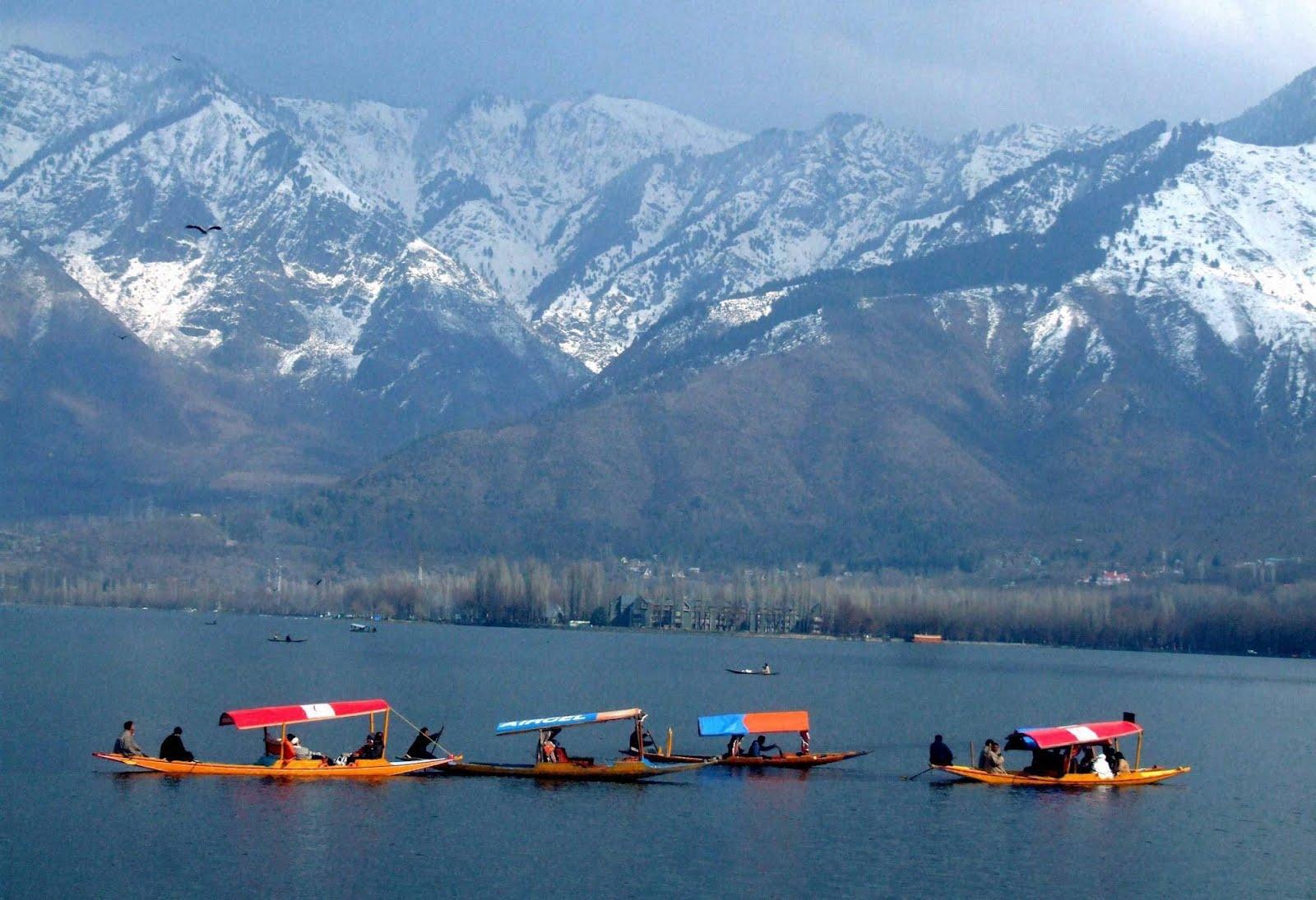 Kashmir Trip and Golden Triangle Tour. India By Locals