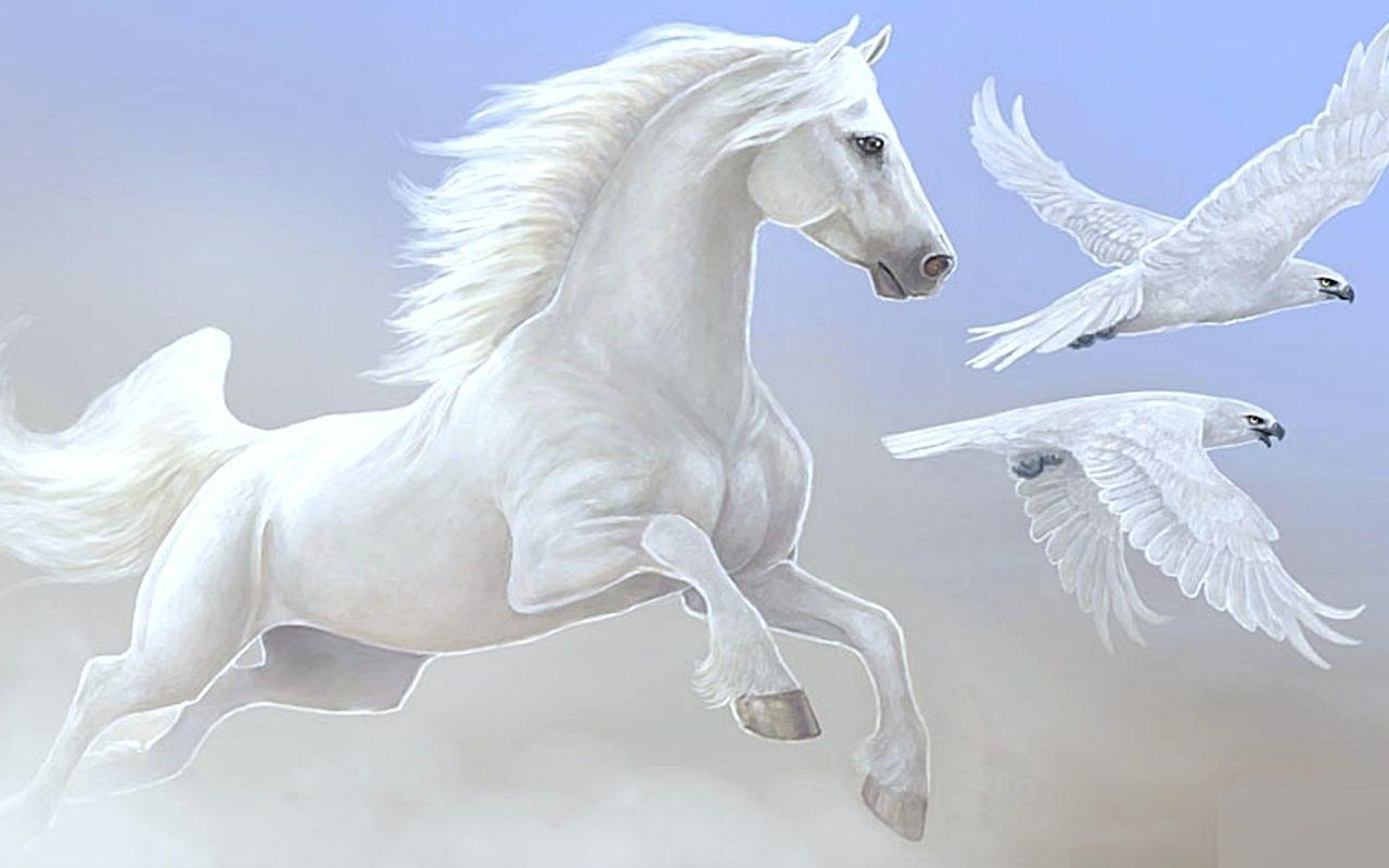 HD White Horse Wallpapers - Wallpaper Cave
