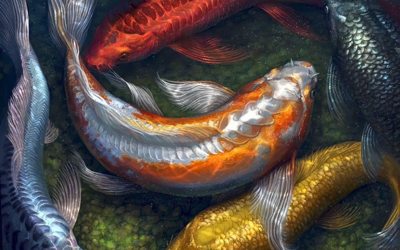 Live Fish Wallpaper 939×512 Live fish wallpaper for desktop download