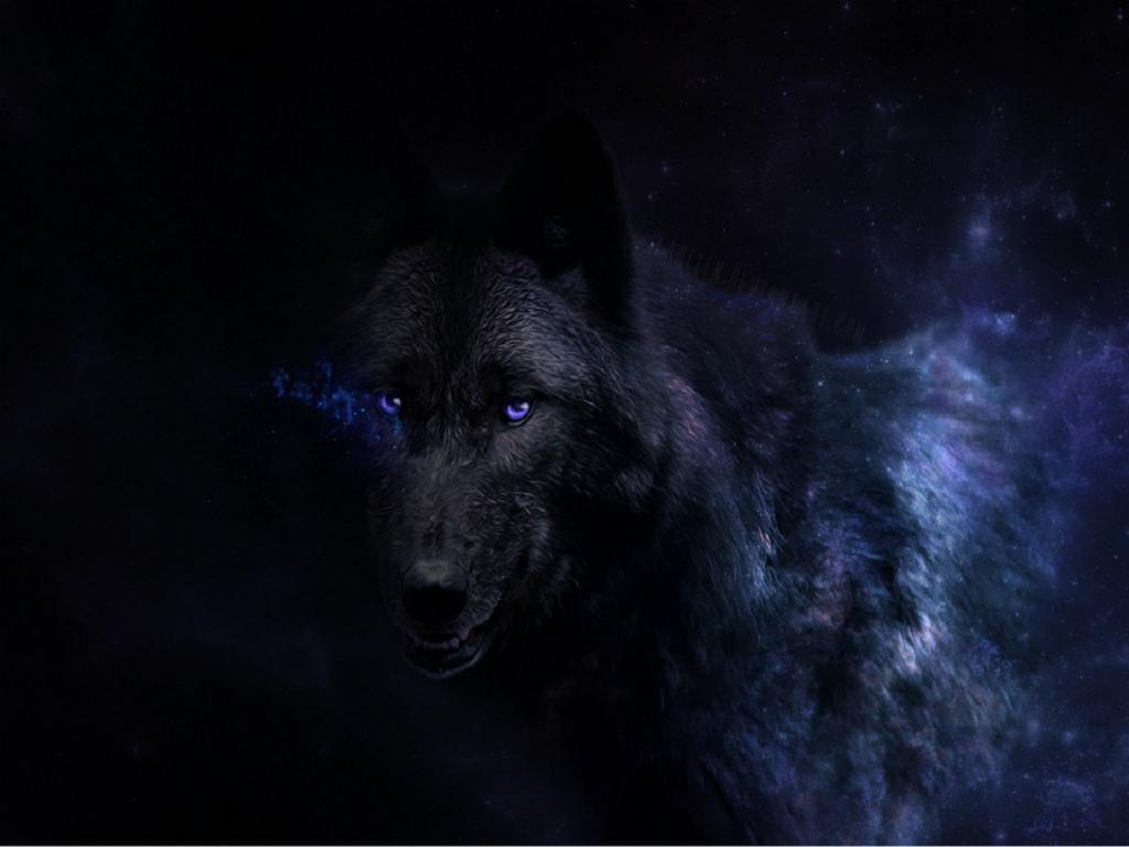 Black Wolf Wallpapers Hd Wallpaper Cave