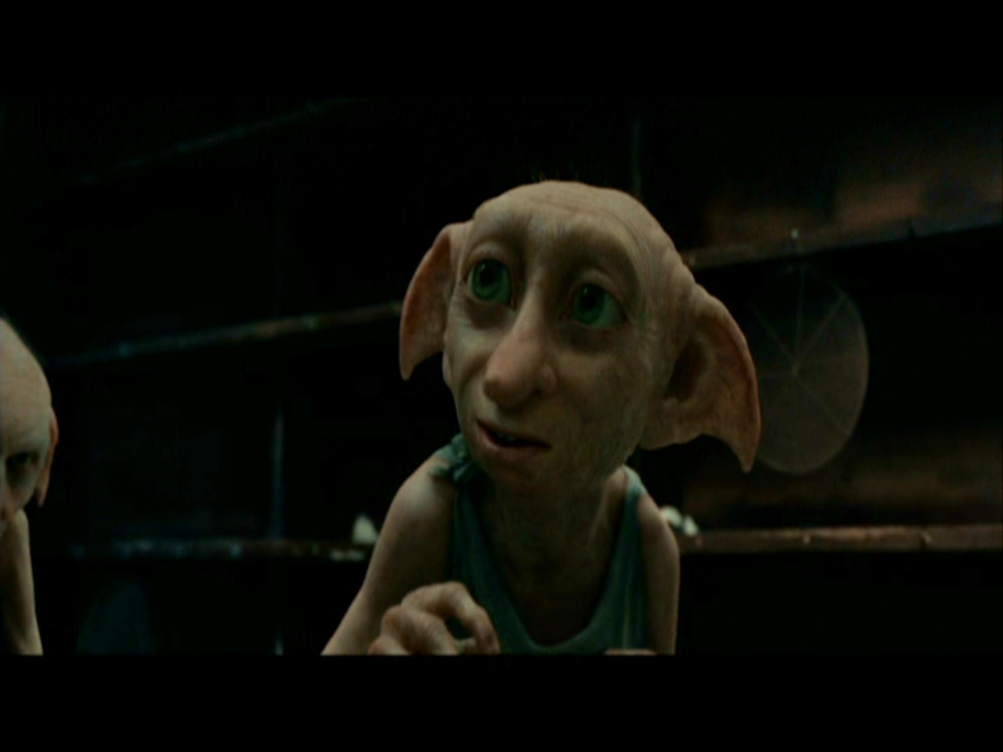 Download Saying Goodbye To Dobby The House-Elf Wallpaper