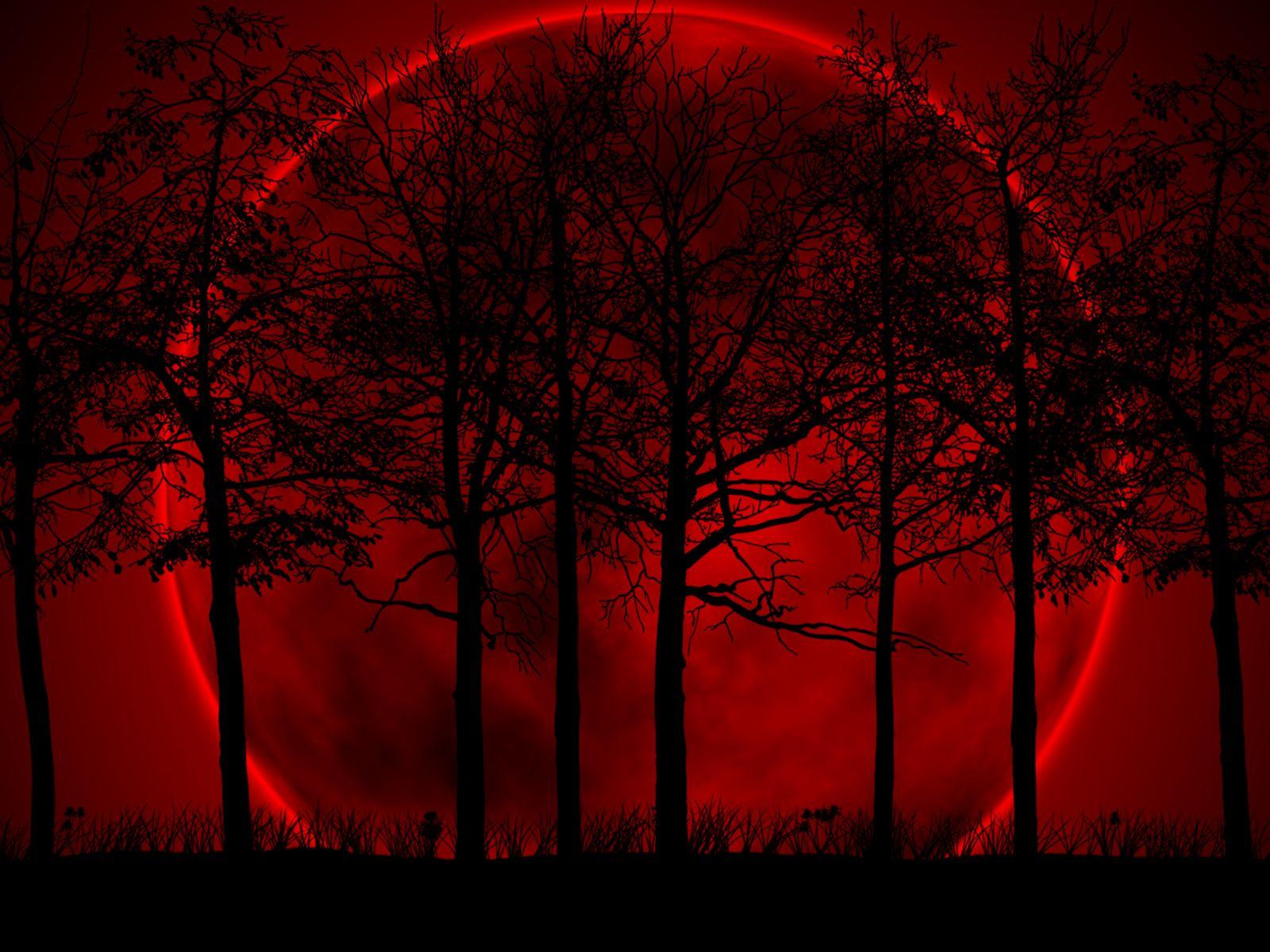 Red Wallpaper 583