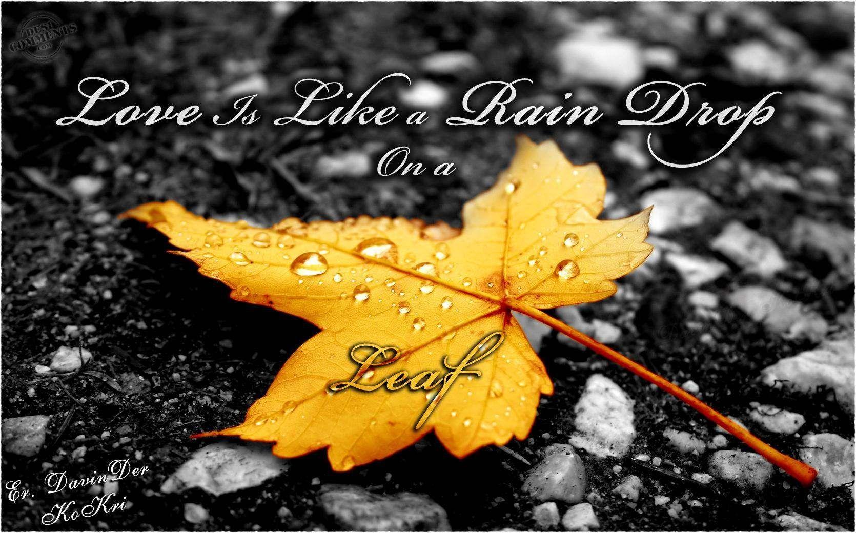 Beautiful Rain Drops Wallpapers With Quotes Wallpaper Cave