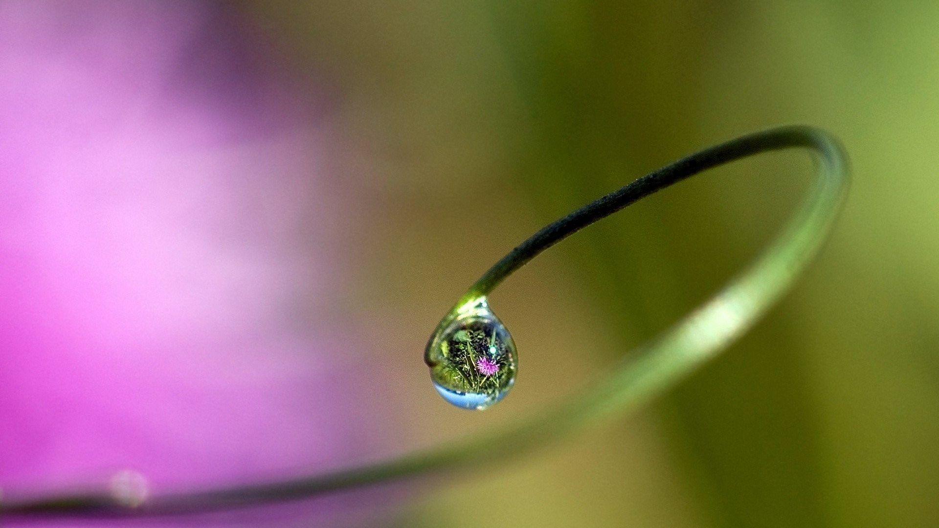 Drops: Water Nature Macro Drops Beautiful Wallpaper Quotes for HD 16