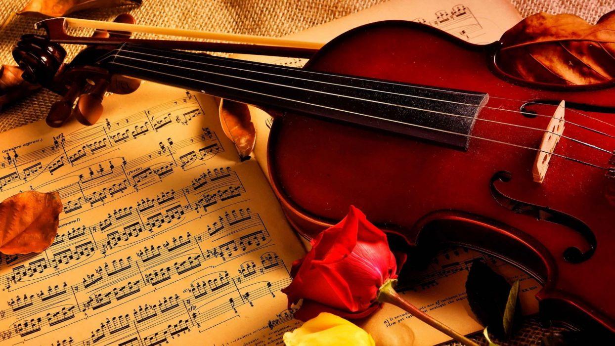 Violin notes rose beauty music wallpaperx1080