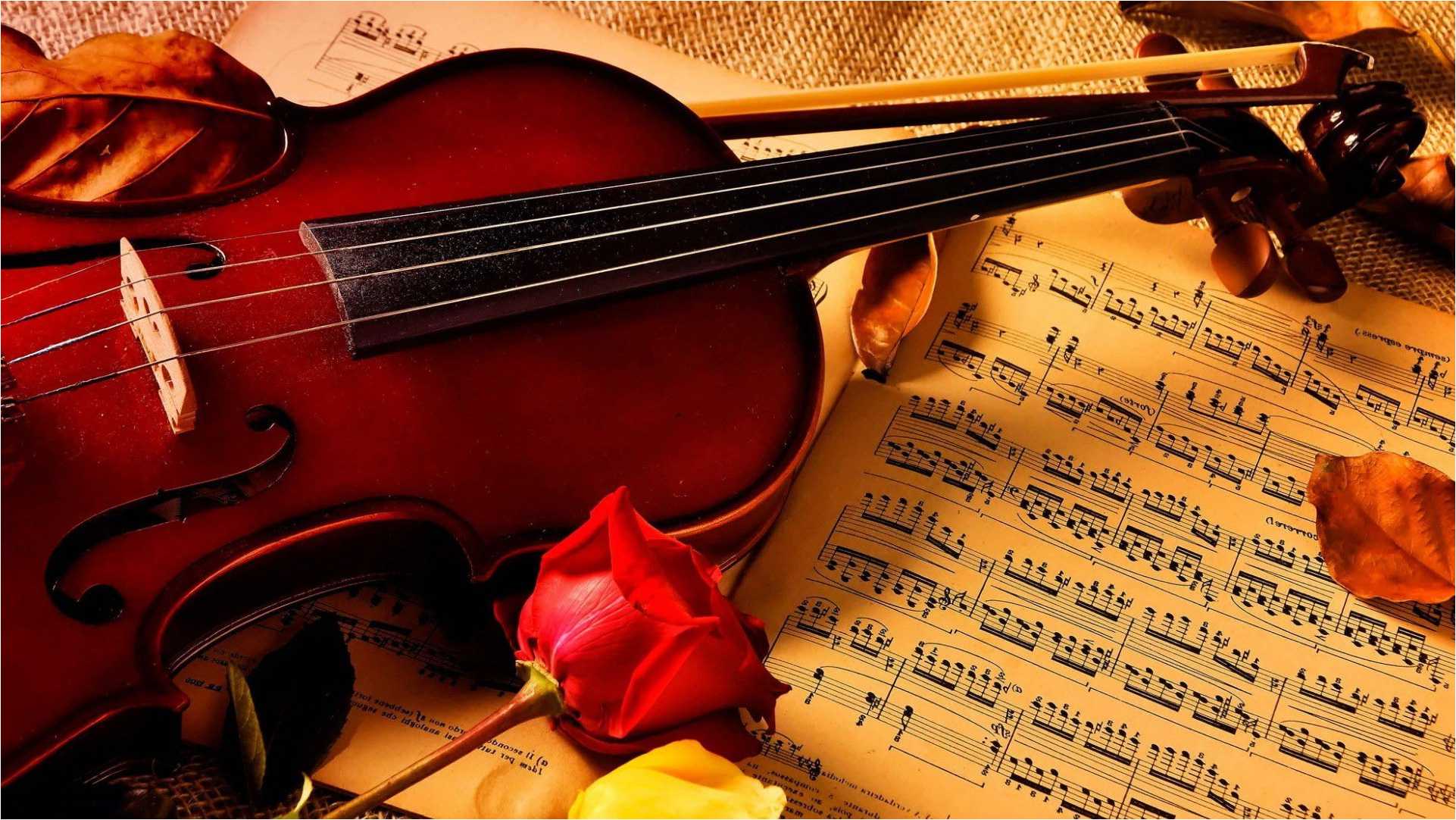 100 Most Beautiful Violin Melodies That Touches Your Heart - Background  Music - YouTube