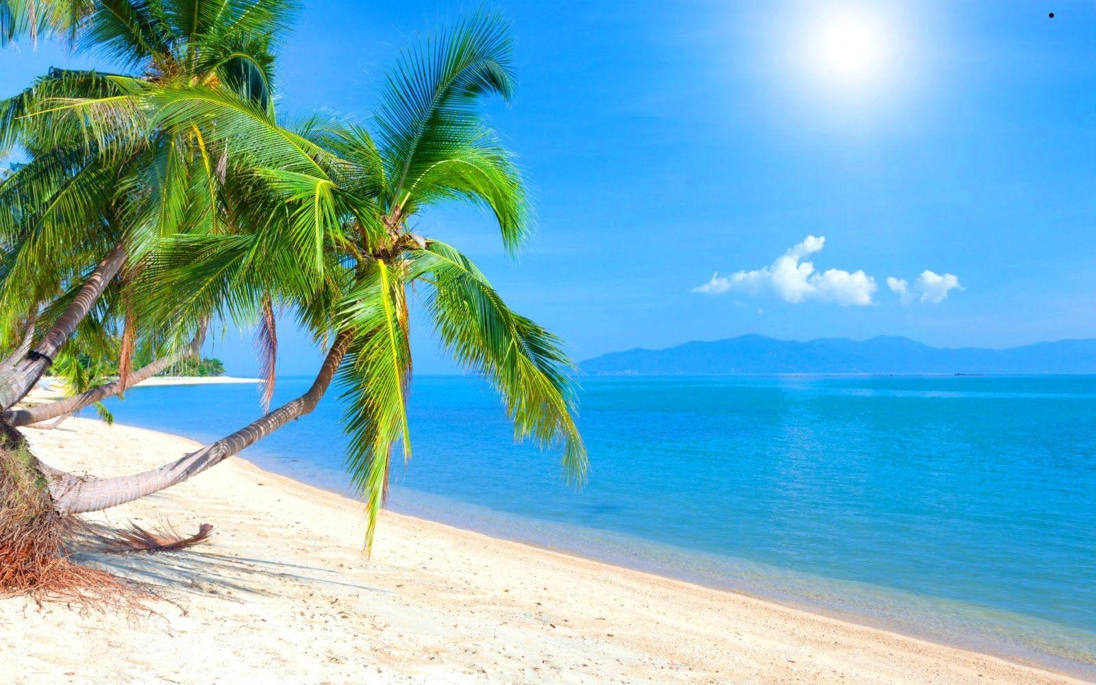 Island Backgrounds Wallpaper Cave Wp2881974