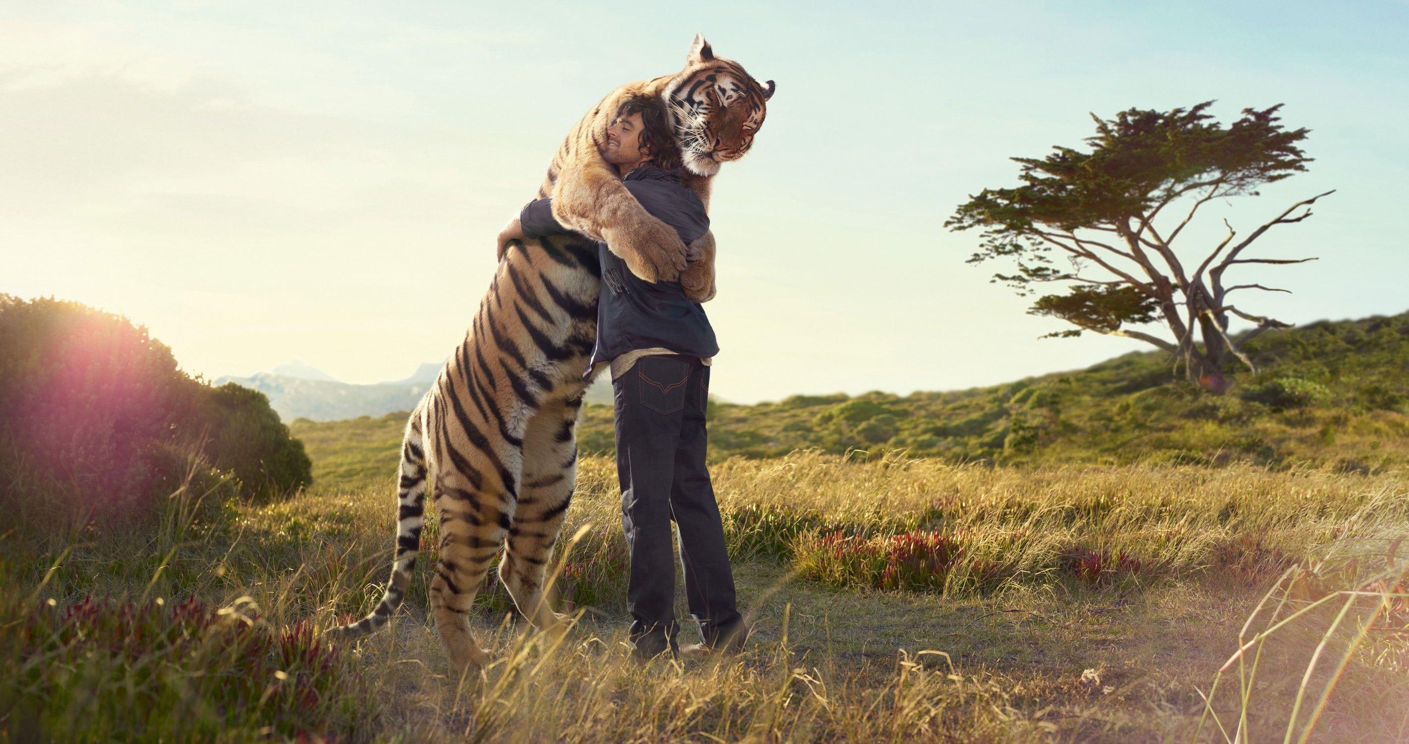 Animals fields hugging love nature wallpaper