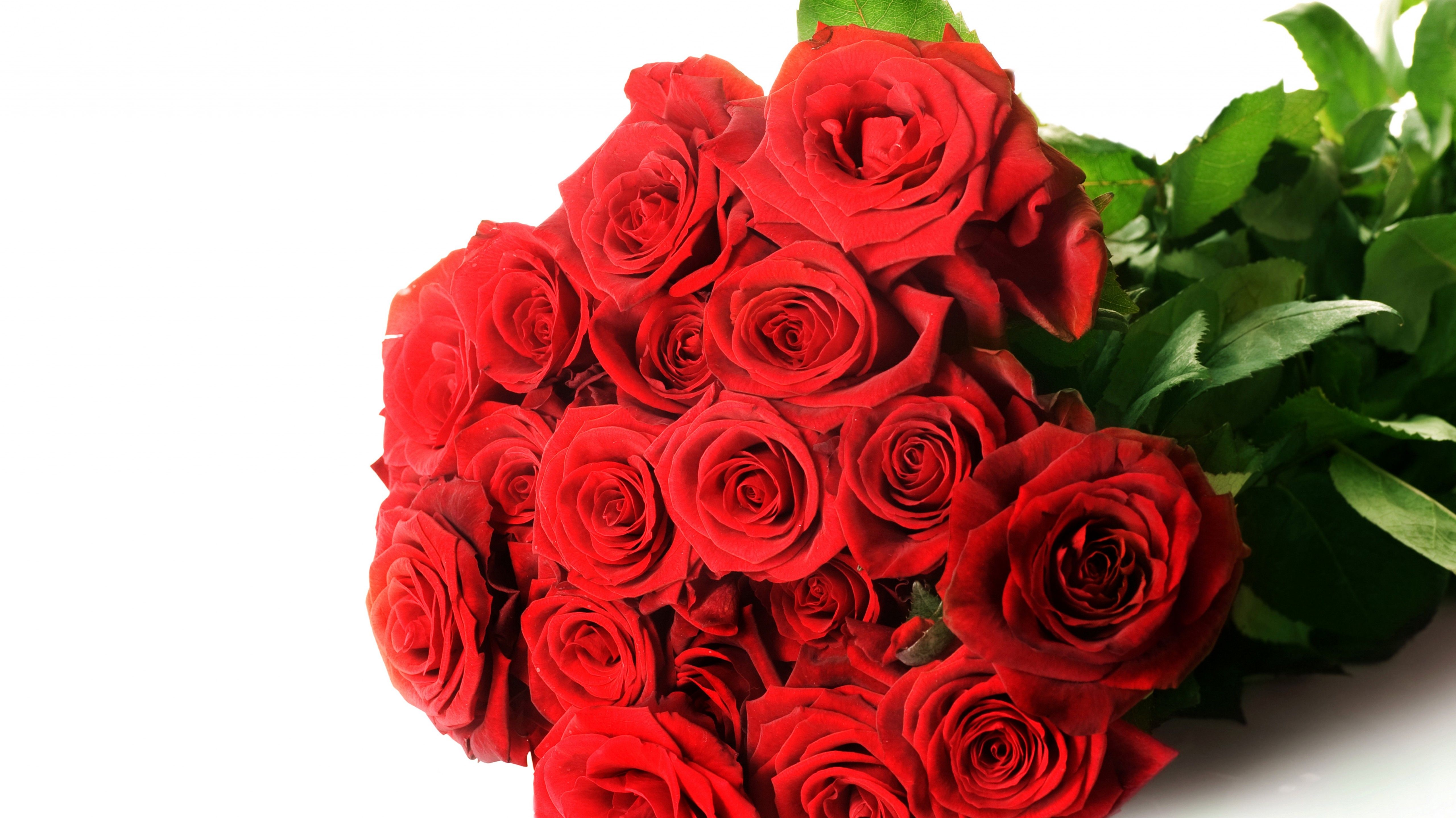 Wallpaper Red Roses, Bouquet, HD, 5K, Flowers