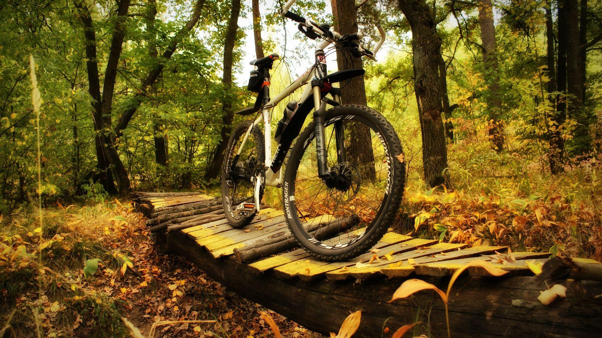Bikes Desktop Wallpaper ⇔ 857078 Mountain Bike Photo
