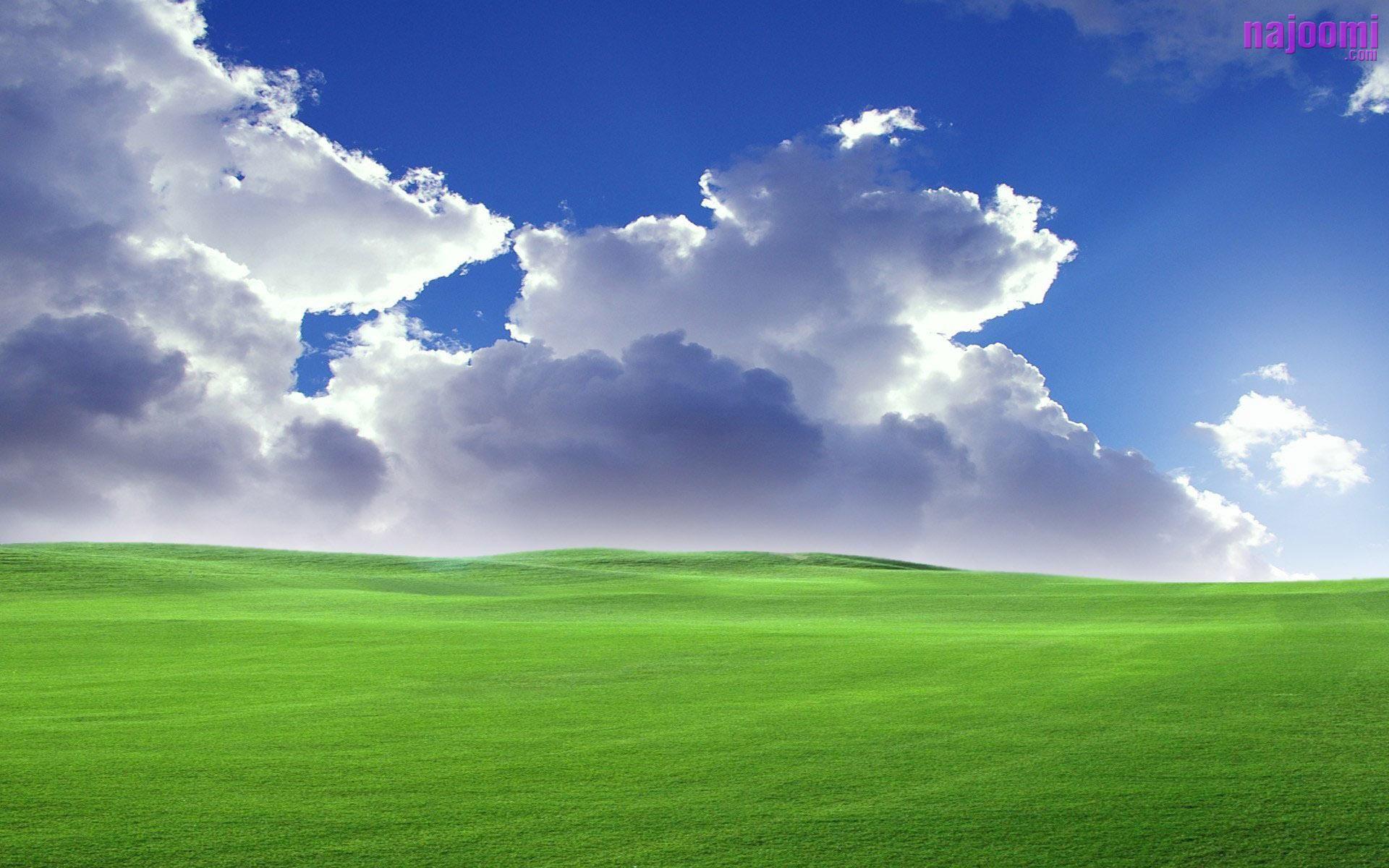 Hình nền cánh đồng xanh sẽ mang đến cho bạn cảm giác thư thái và yên bình khi trở về căn nhà của mình. Hãy cùng chiêm ngưỡng vẻ đẹp hoang sơ của cánh đồng xanh trong hình nền này.