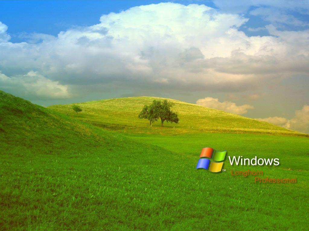 MLP Microsoft Windows XP Bliss Wallpaper Know Your Meme 1024x768