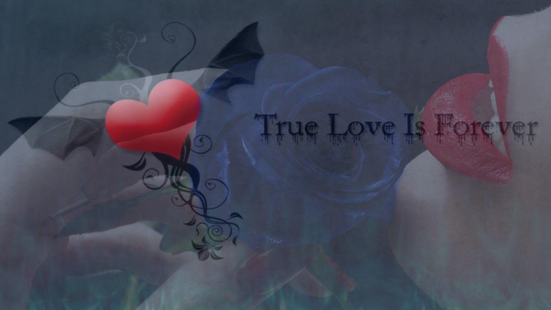 True love is forever wallpapers