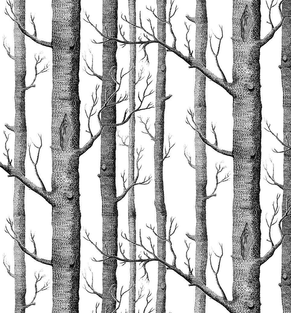 Modern Minimalist Birch Tree Pattern Waterproof Wallpaper Wall Paper