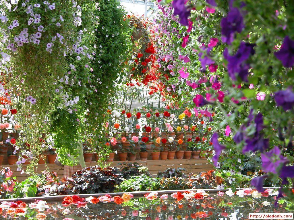 Beautiful Wallpaper Of Flower Gardens