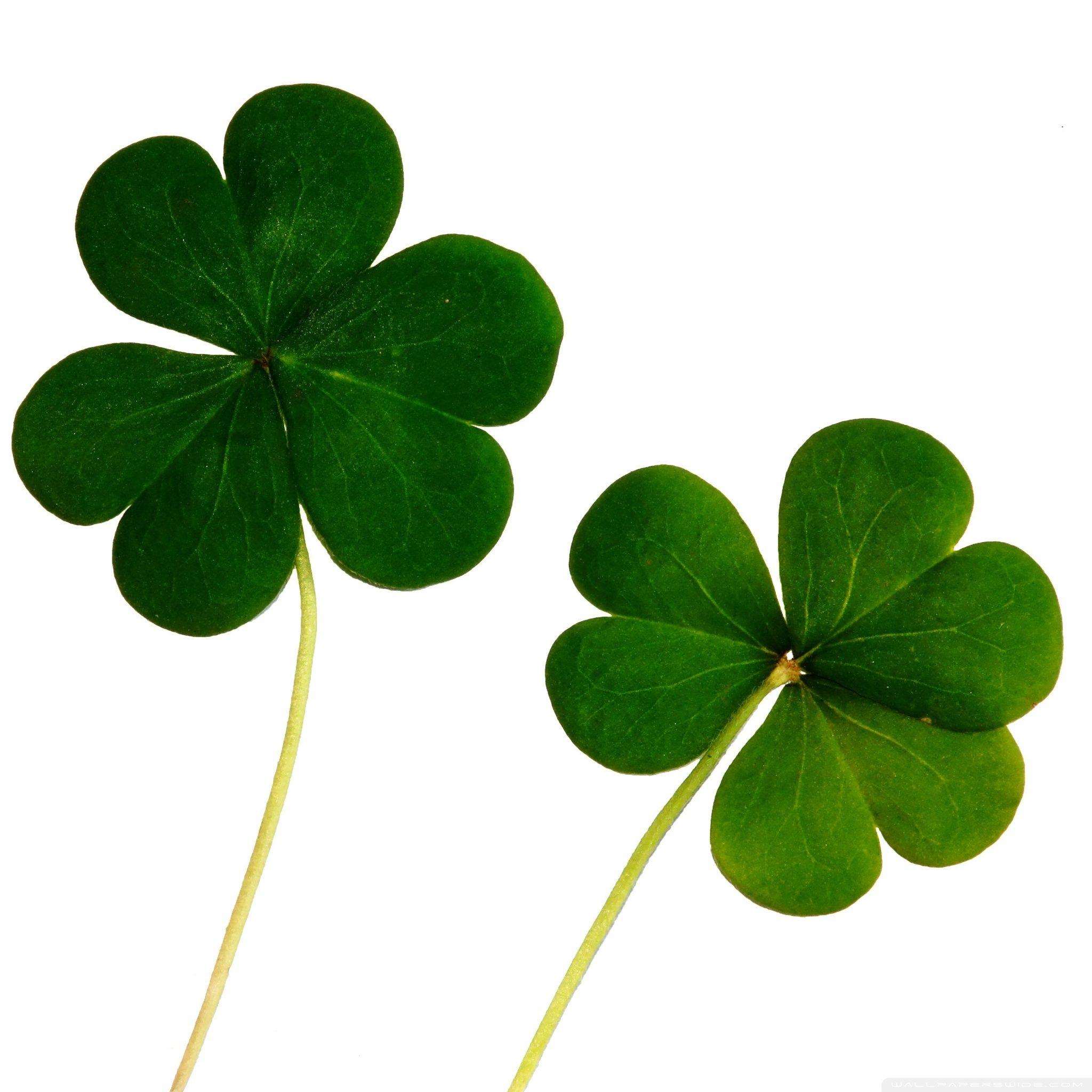 Good Luck Background Images HD Pictures and Wallpaper For Free Download   Pngtree