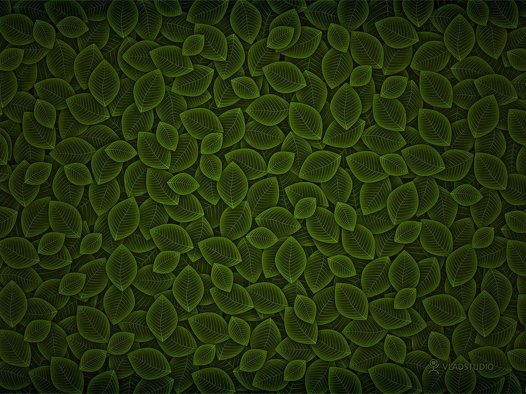 Dark Green Leaves Background Wallpaper 06507