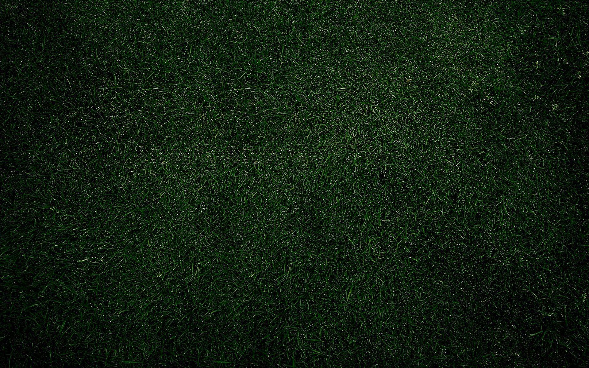 Green grass plain desktop HD wallpaper. HD Wallpaper Rocks