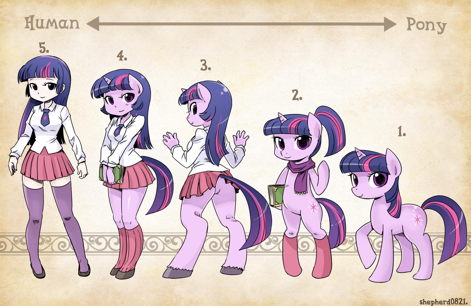 My Little Pony Friendship Is Magic Types Twilight Sparkle Cartoon HD