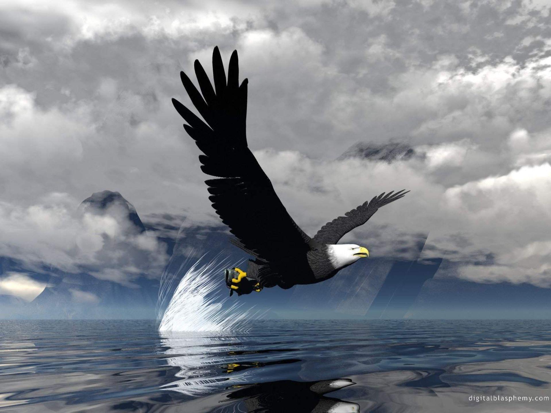 Animal 3D Eagle Flying On Water Wallpaper HD Picture Free