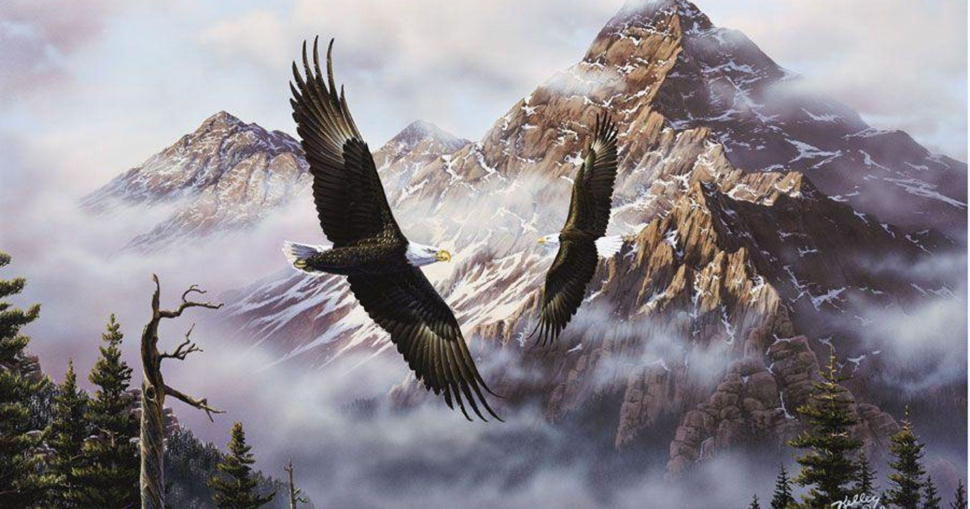 EWQ:19 Eagle Wallpaper, Top American Eagle HD Wallpaper