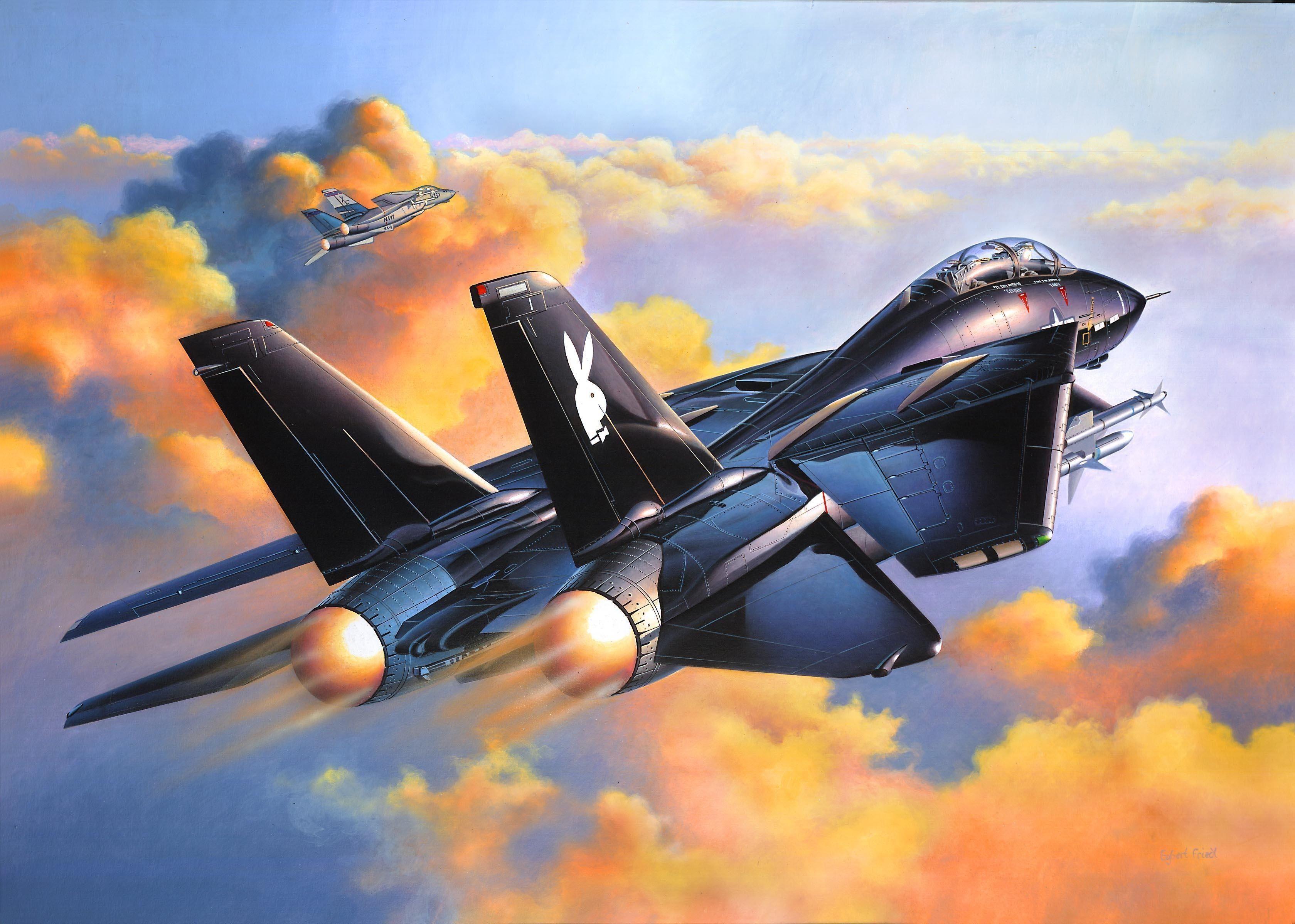 Grumman F 14 Tomcat HD Wallpaper And Background