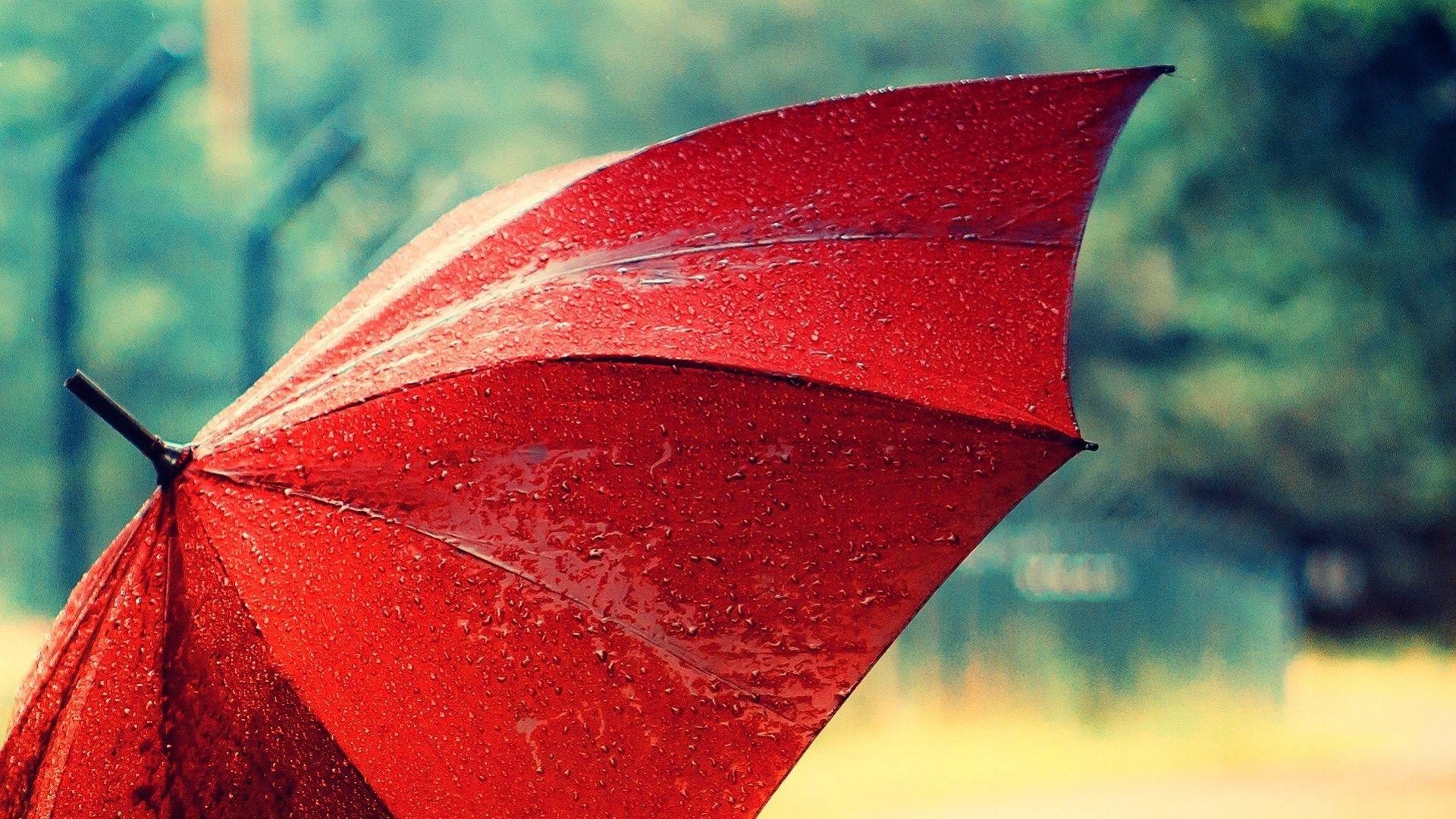 Rain Umbrella, High Definition, High Quality, Widescreen