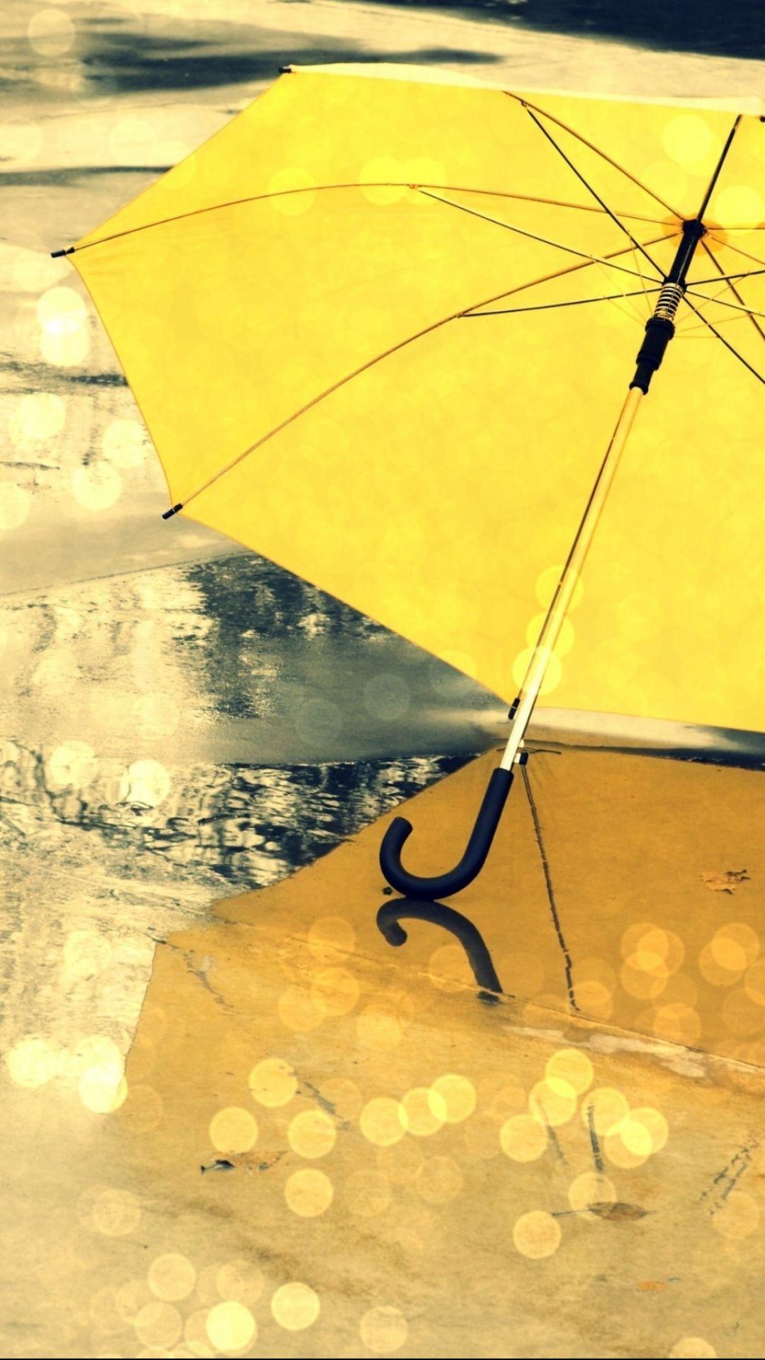 Photography Umbrella (1080x1920) Wallpaper