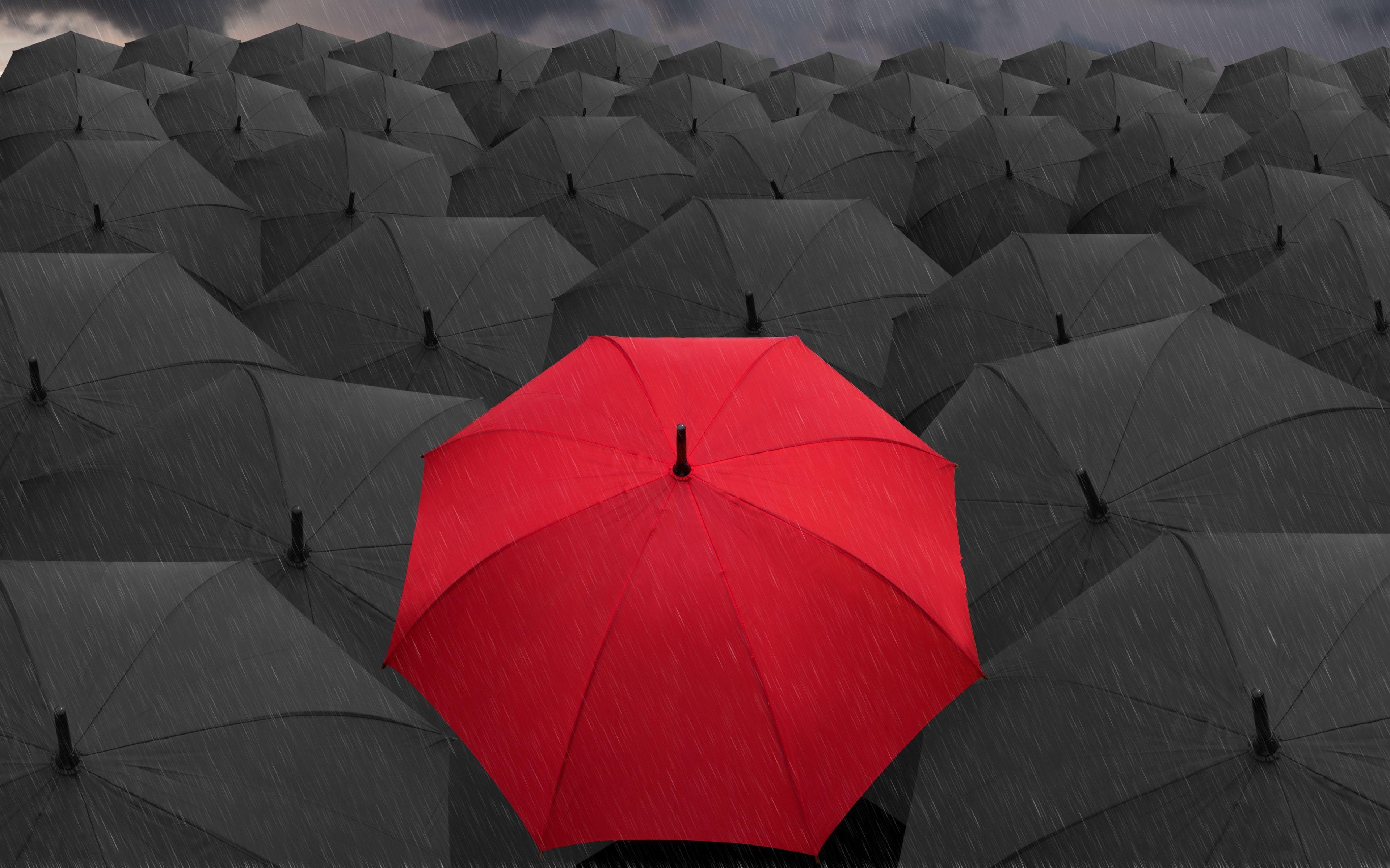 Download HD Red And Black Umbrellas Rain Wallpaper