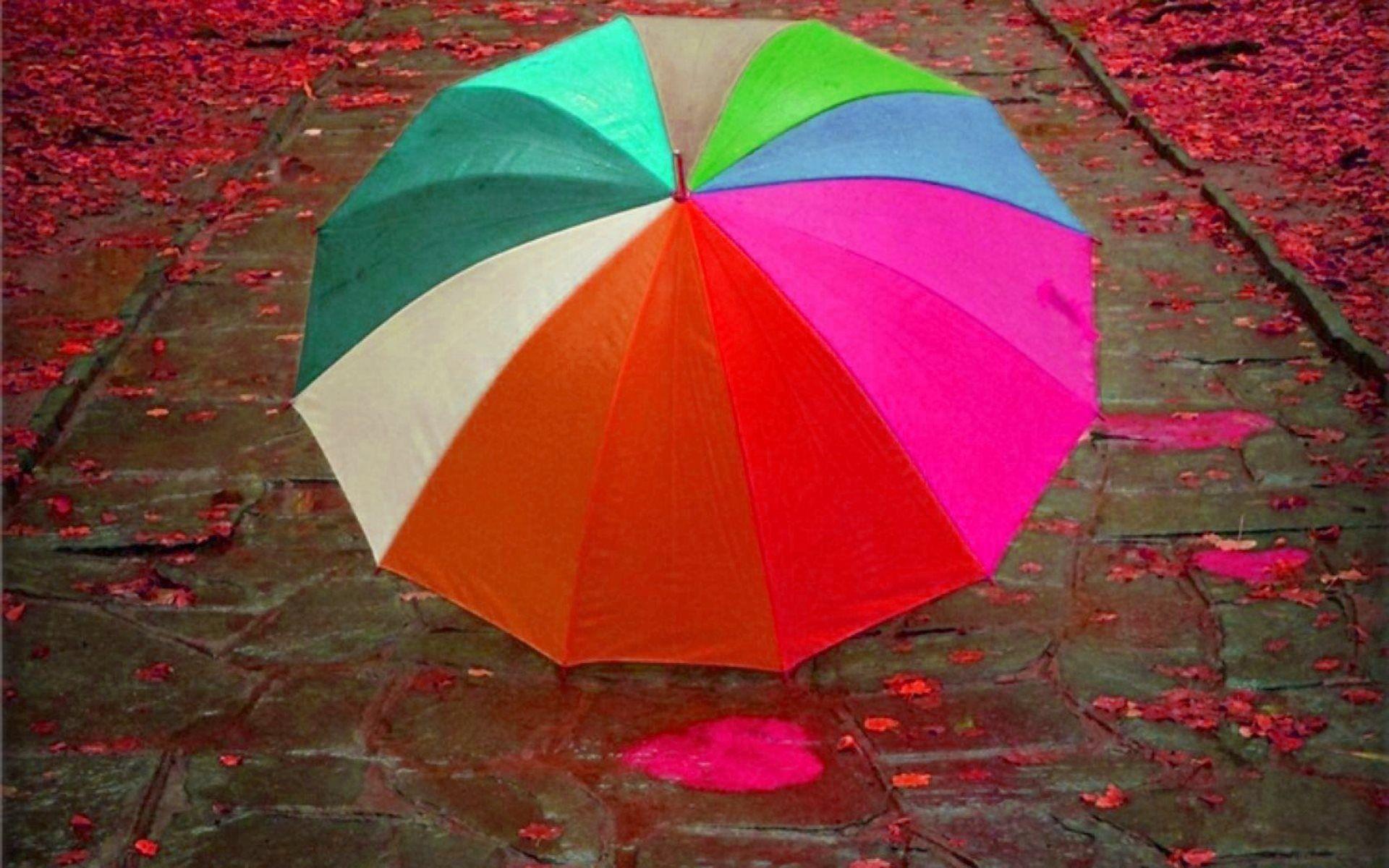 Colorful Umbrella HD Wallpaper