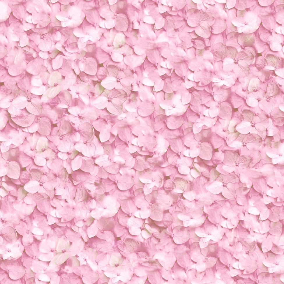 Floral Wallpaper Hydrangea Pink L11913. Wallpaper