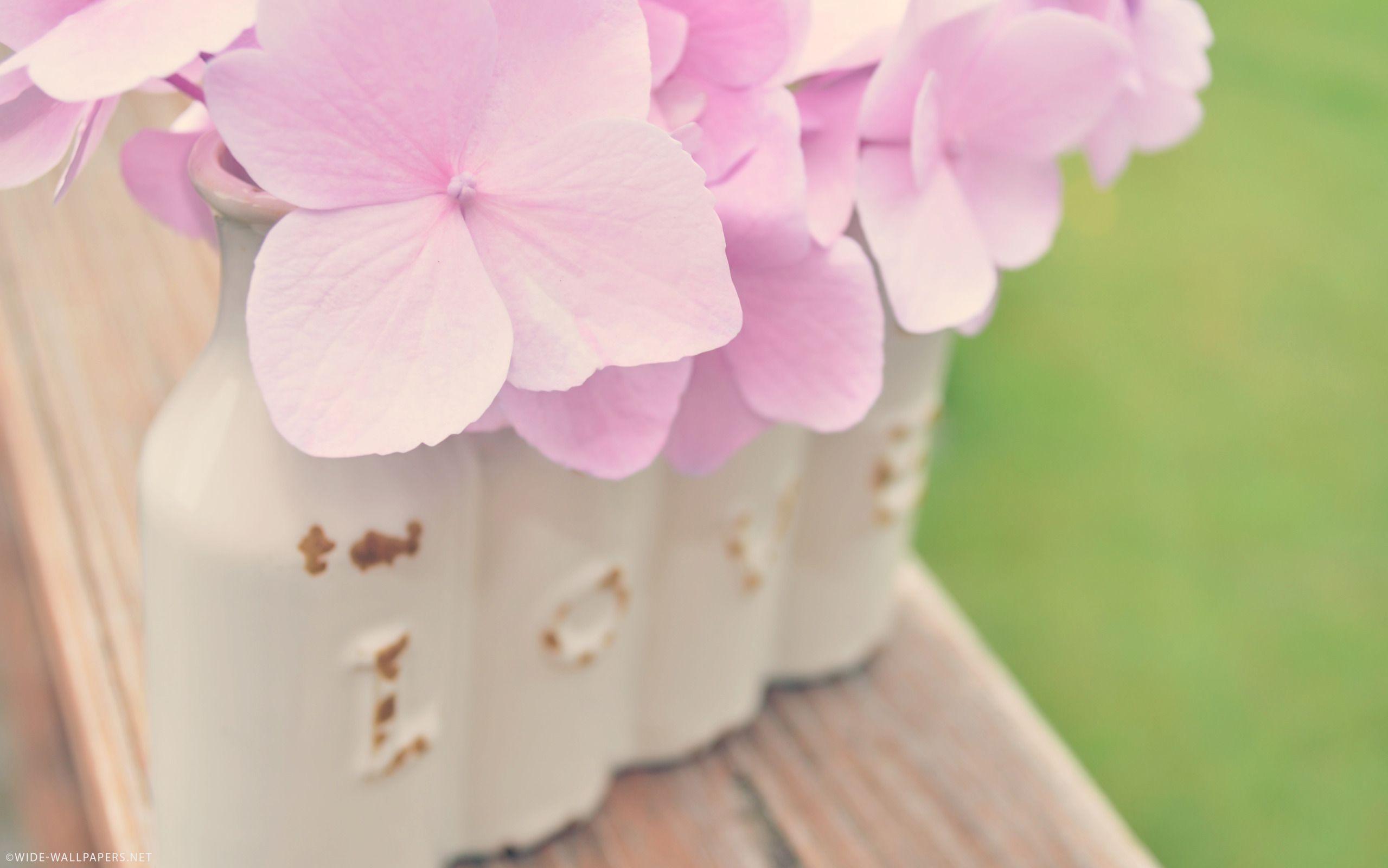 Soft Pink Hydrangea Flowers in LOVE Vintage Vase widescreen