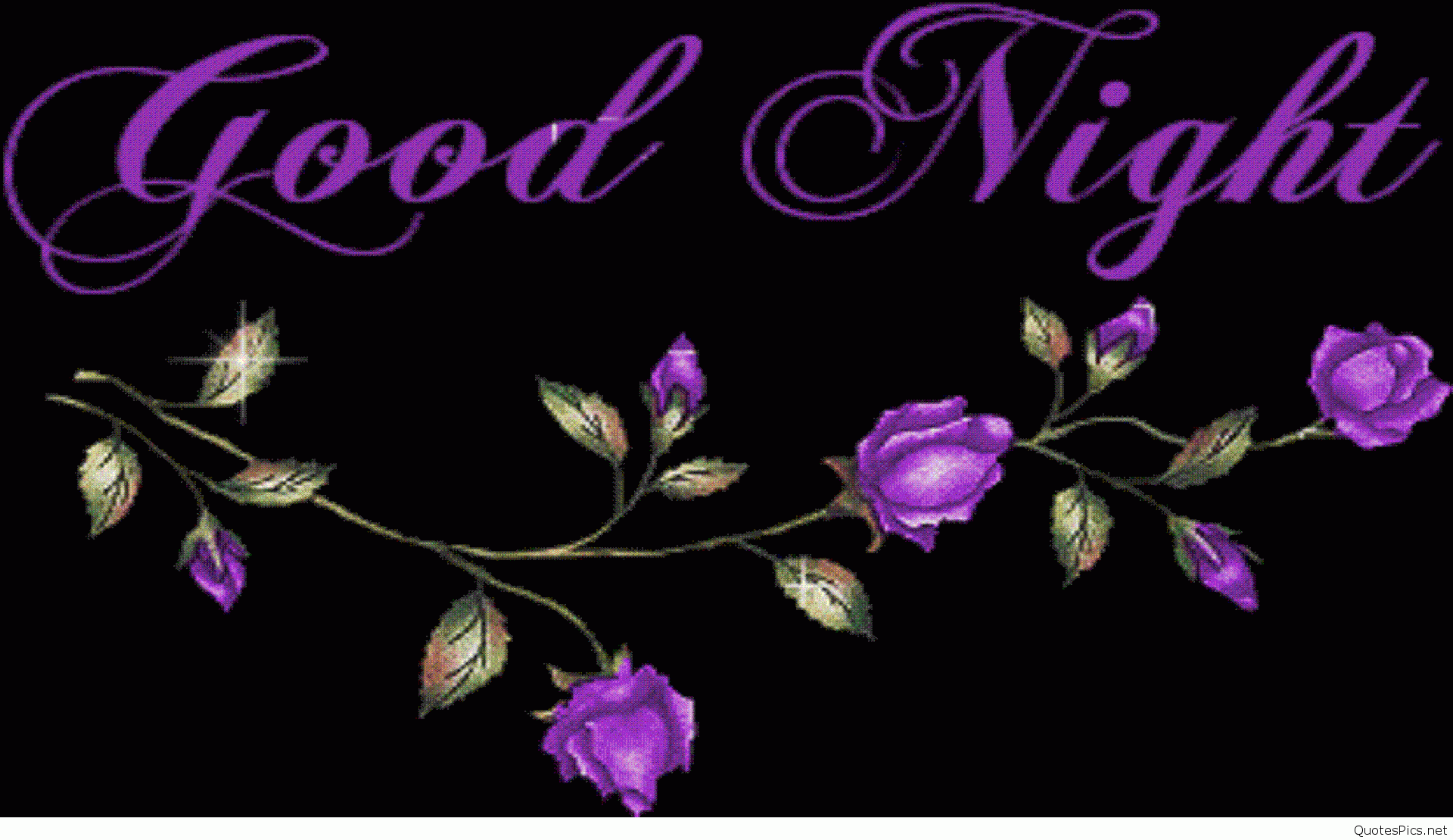 Good night & sweet dreams cards, photo pics hd