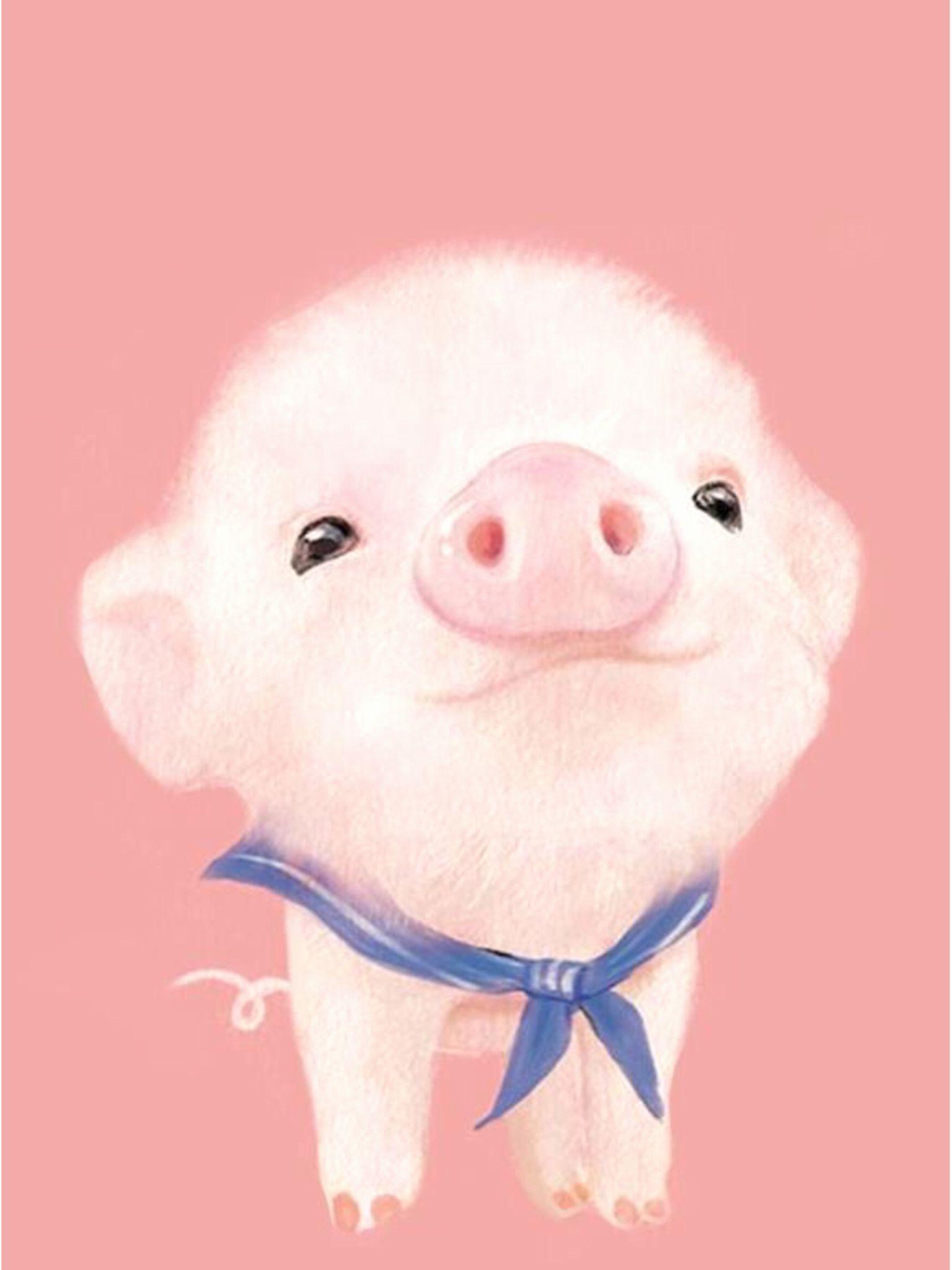 Piglet Birthday Card New Funny Pig Birthday Cards Fresh Pig