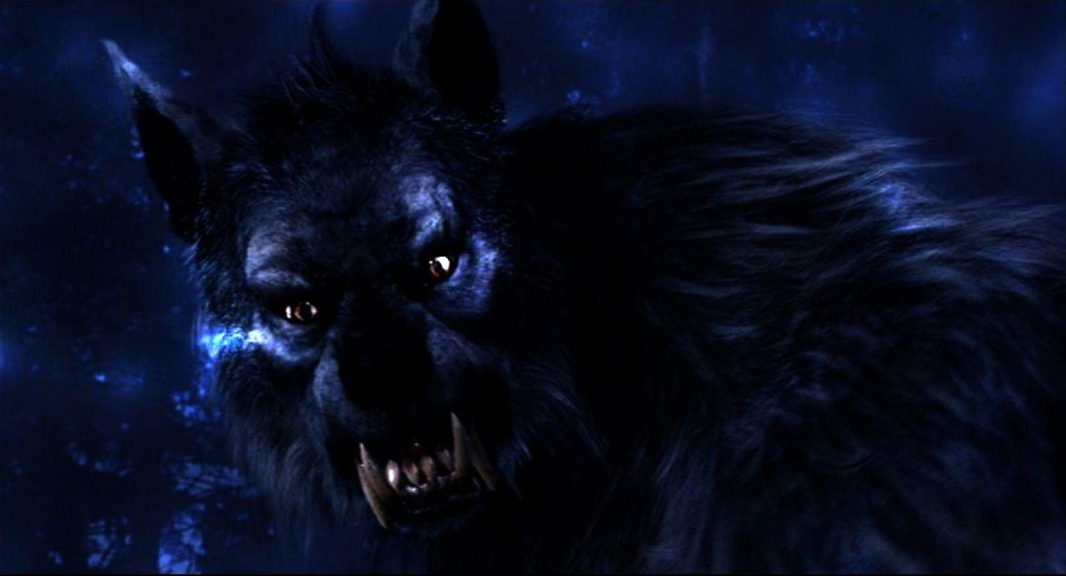 Werewolf Wallpaper and Background Imagex810