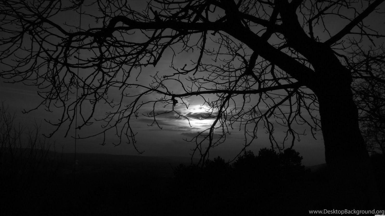 Dim Dark Moon Tree 1510 - Dark Moon HD Wallpaper Desktop Background