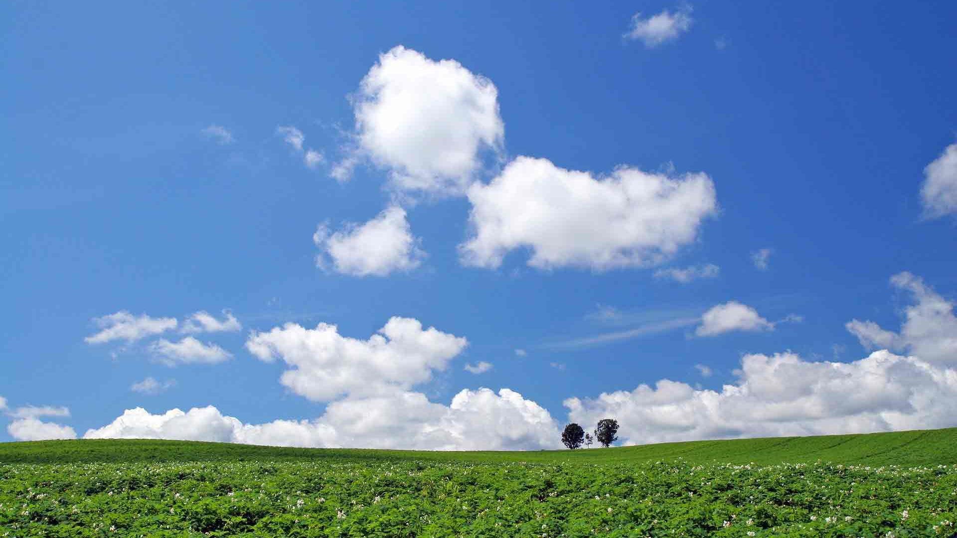Hd White Clouds In The Blue Sky Scenic Desktop Background