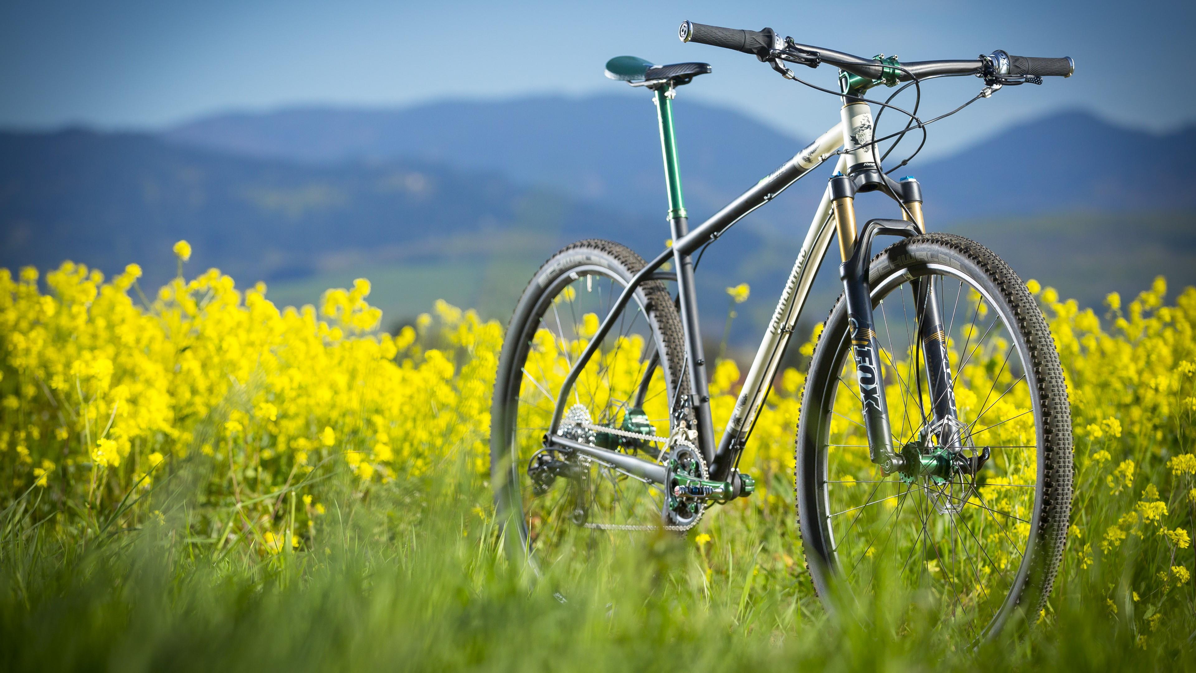 Mountain Bike In The Canola Field ♂ Wallpaper. Wallpaper