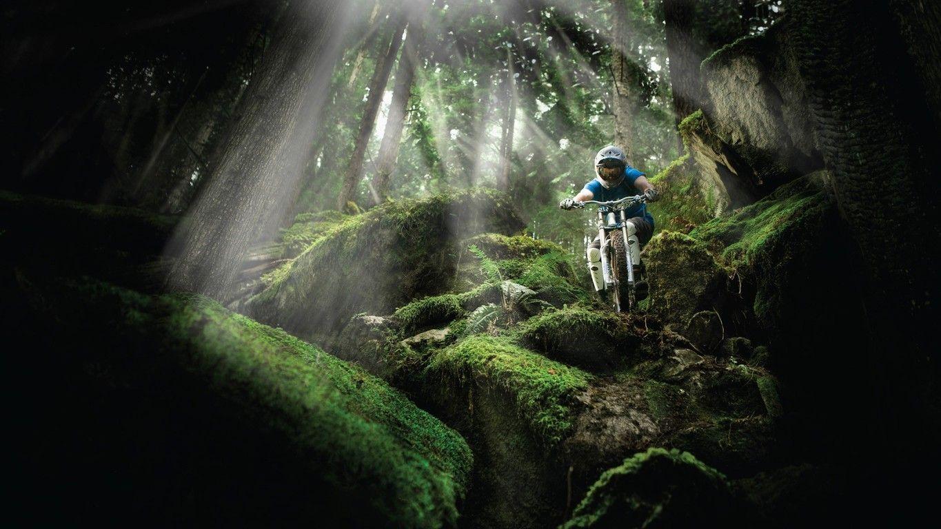 Mountain Bike Wallpaper