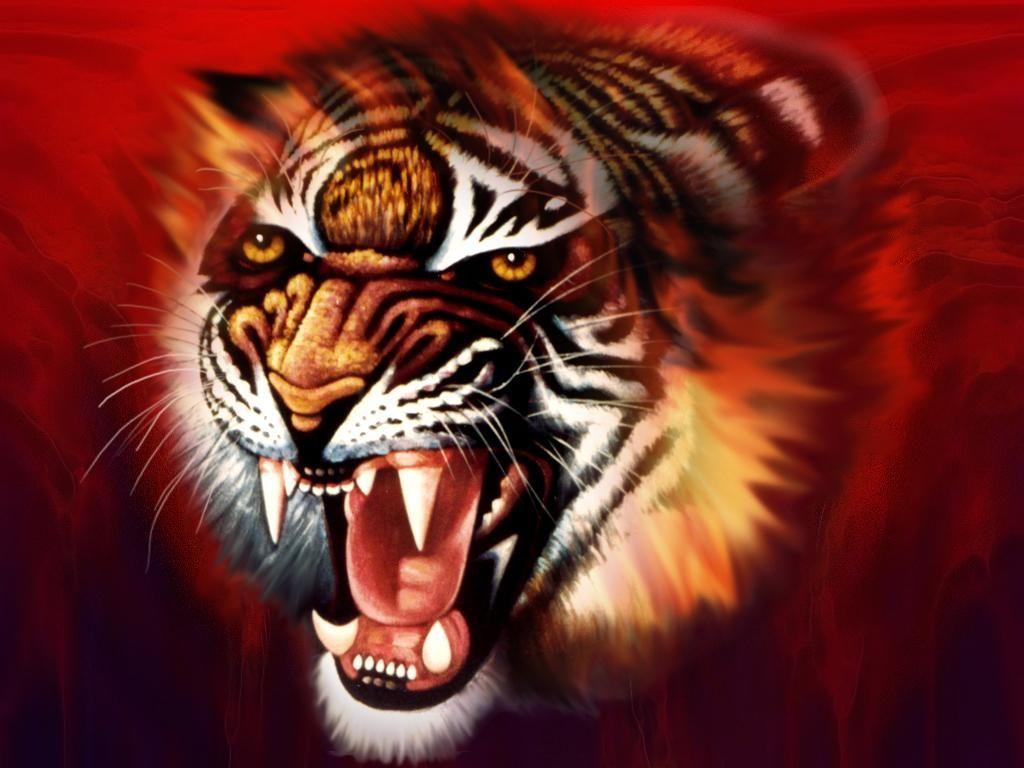 Tiger 3D HD Desktop Wallpaper 6516 Wallpaperz. rk