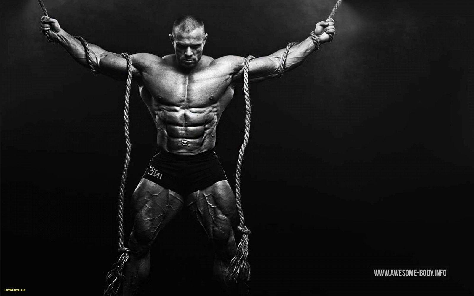 Bodybuilding Wallpaper Bodybuilding Motivational Quotes Sayings