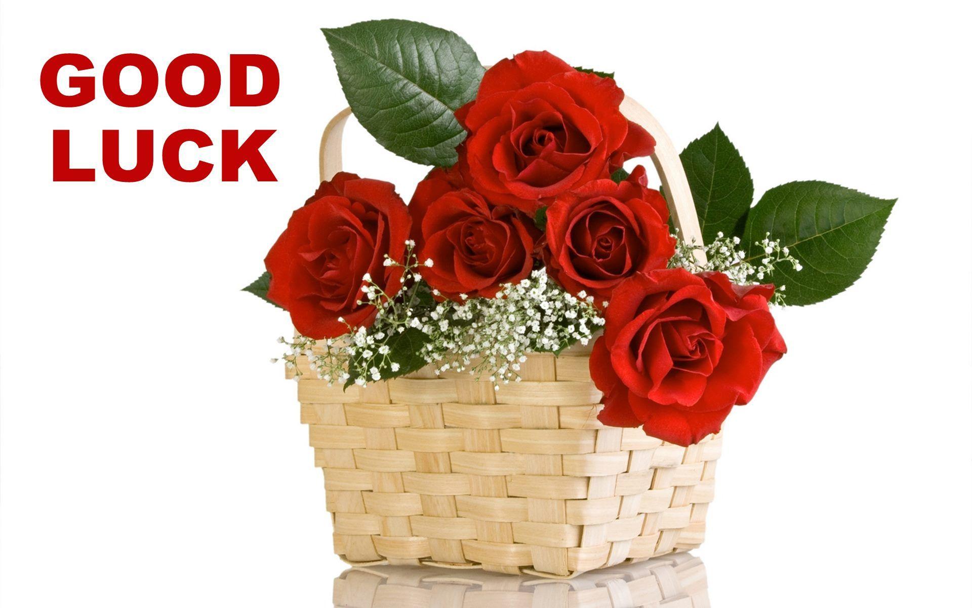 Good Luck Message With Red Rose Pics HD Wallpaper
