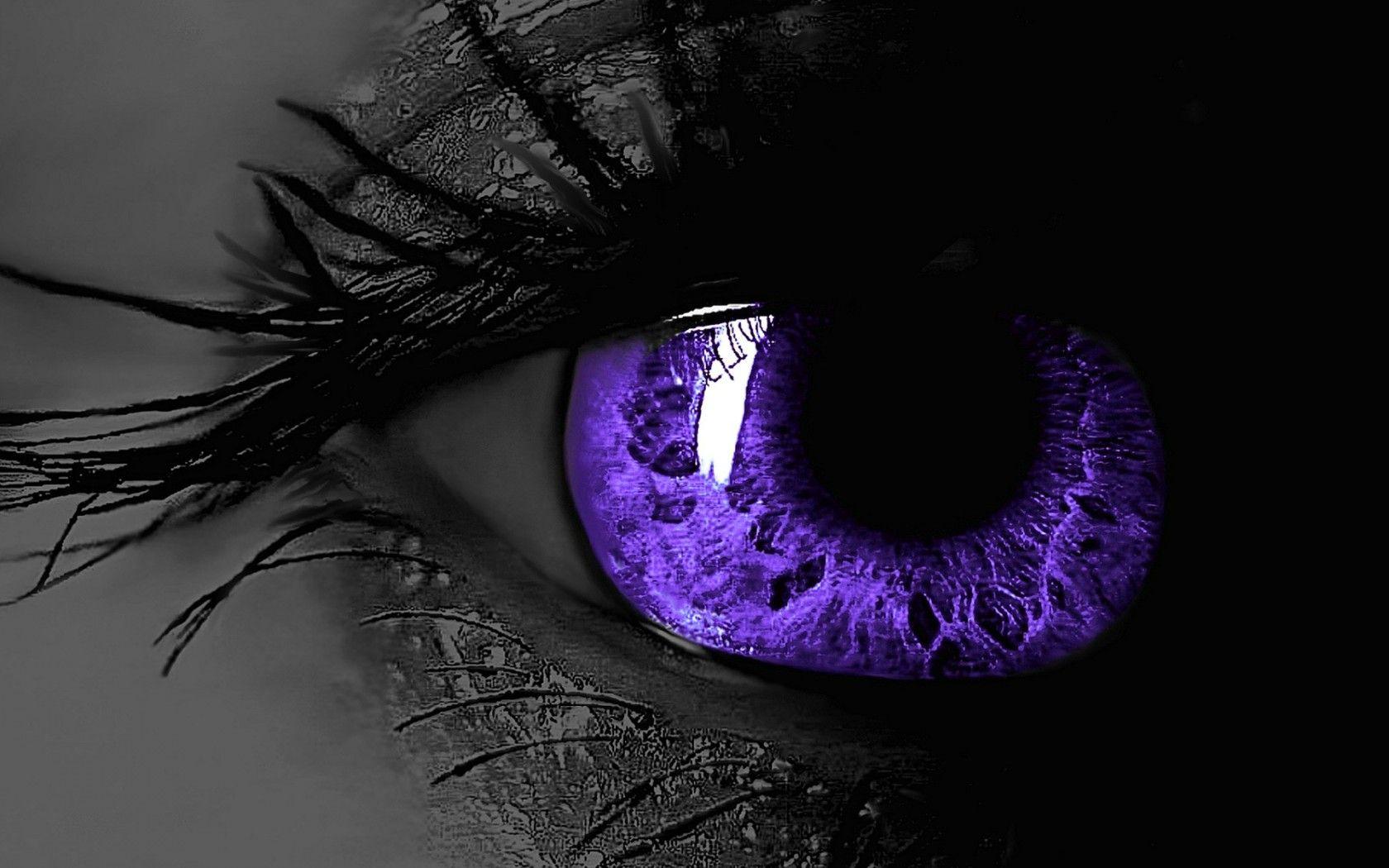 Black Purple Wallpaper HD Background, Image, Pics, Photo Free
