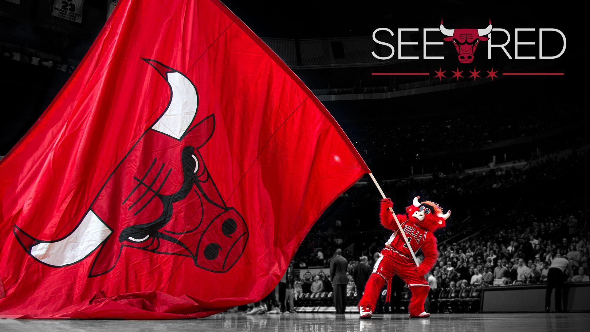 SEE RED. Chicago Bulls Playoffs. Sports :). Chicago
